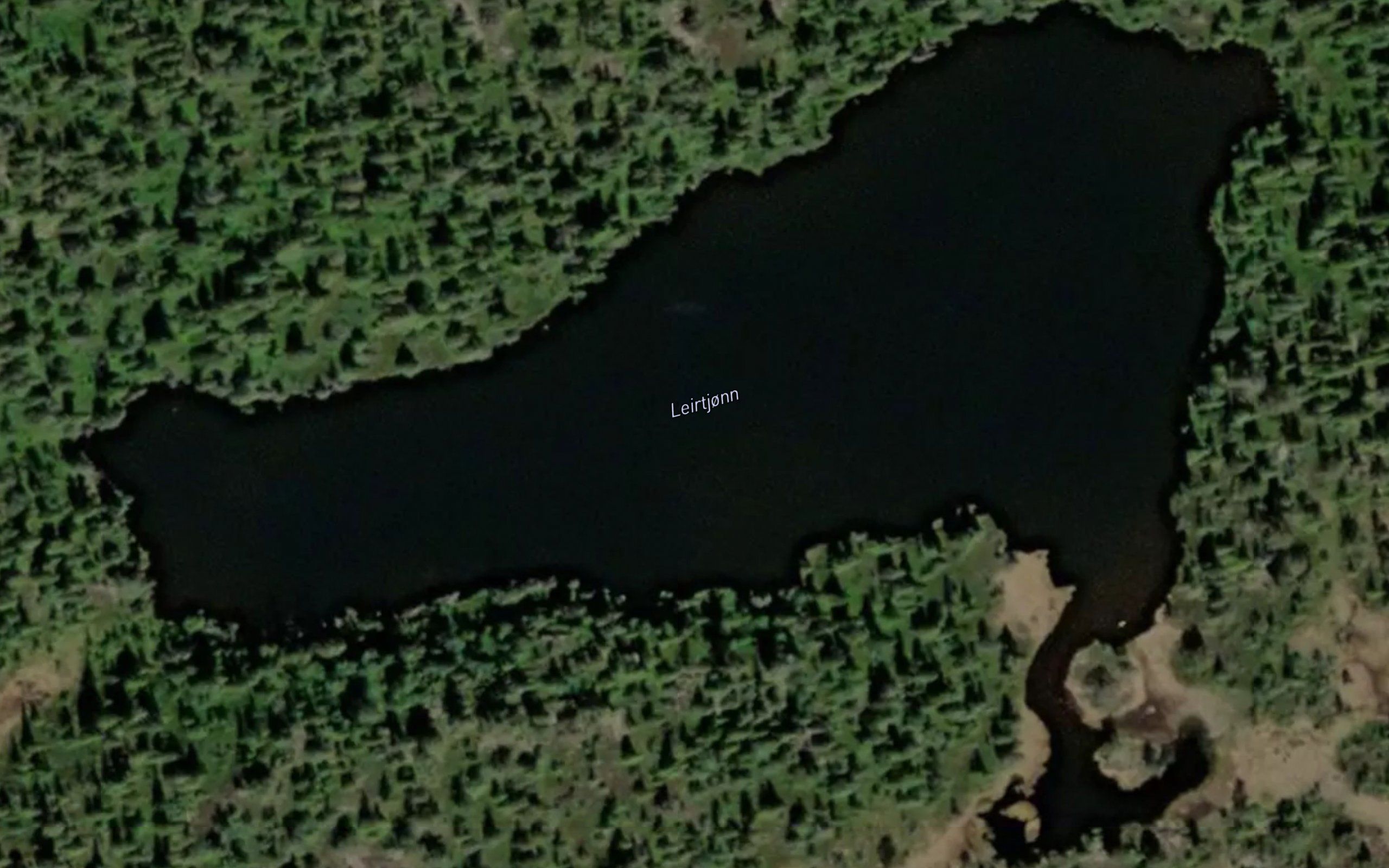 Leirtjorn