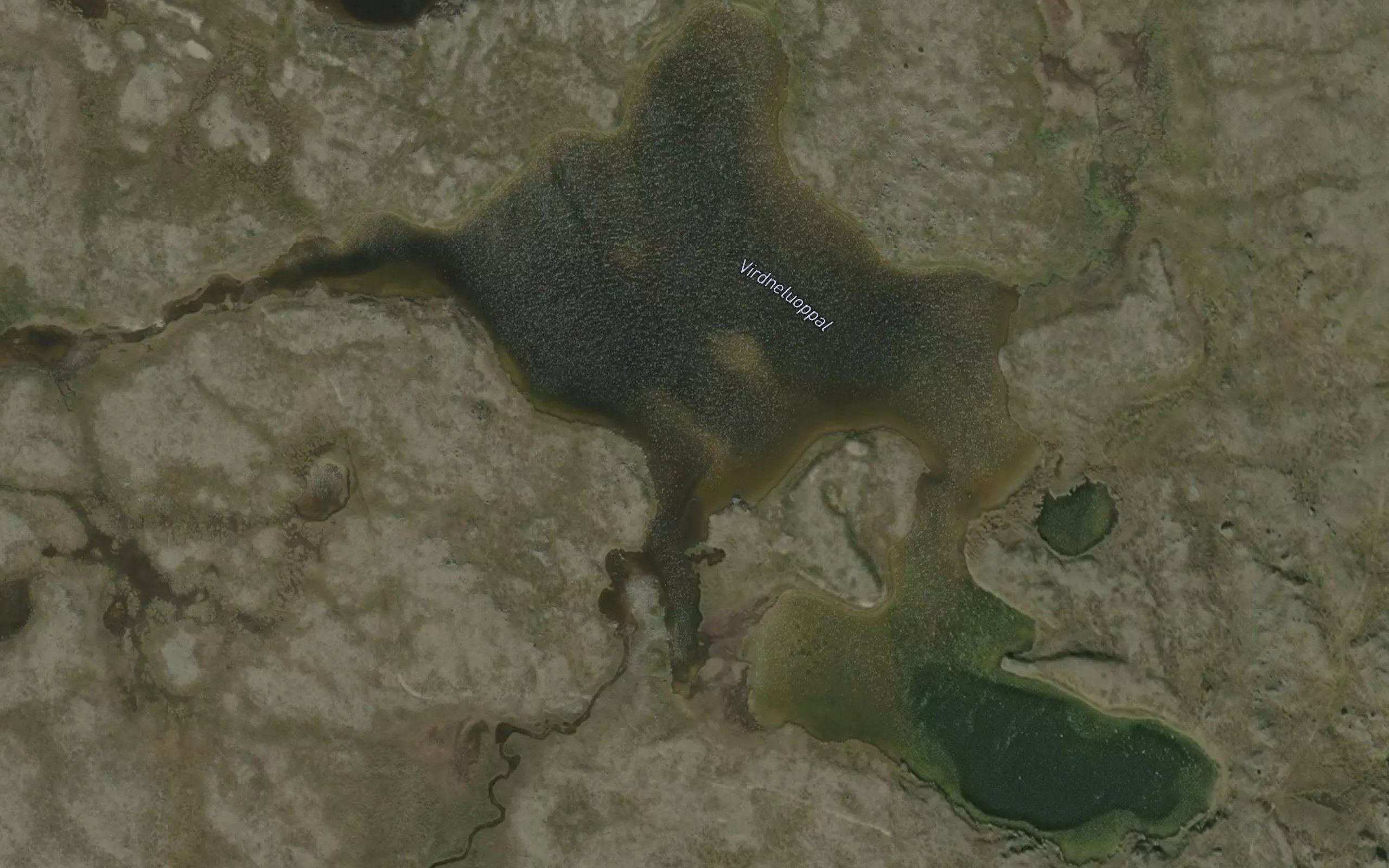 Virdneluobbal