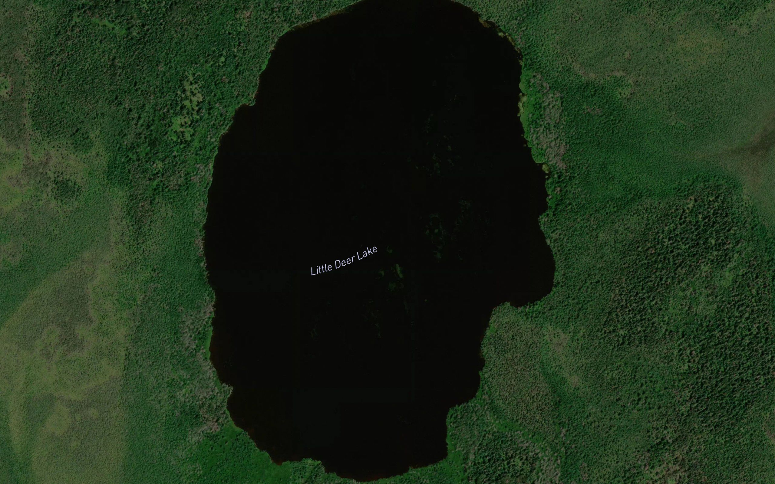 Little Deer Lake