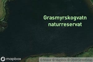 Grasmyrskogvatnet