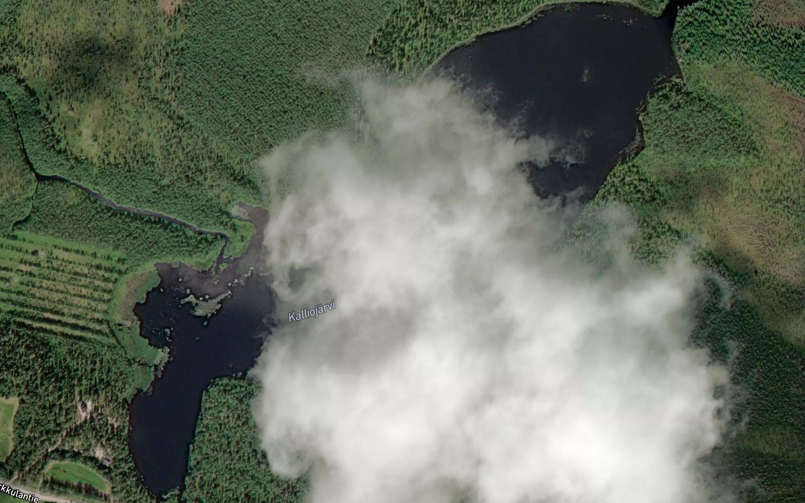 Kalliojarvi