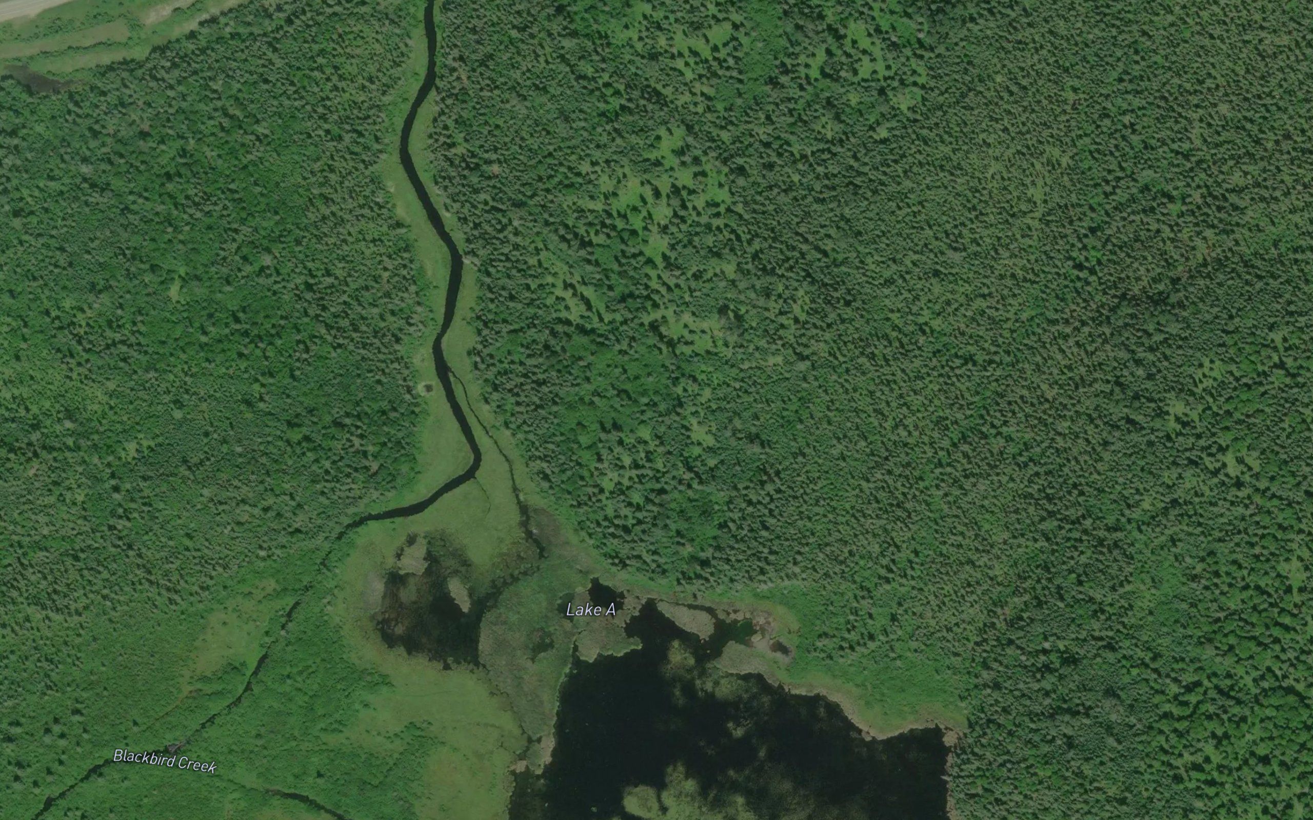 Lake A