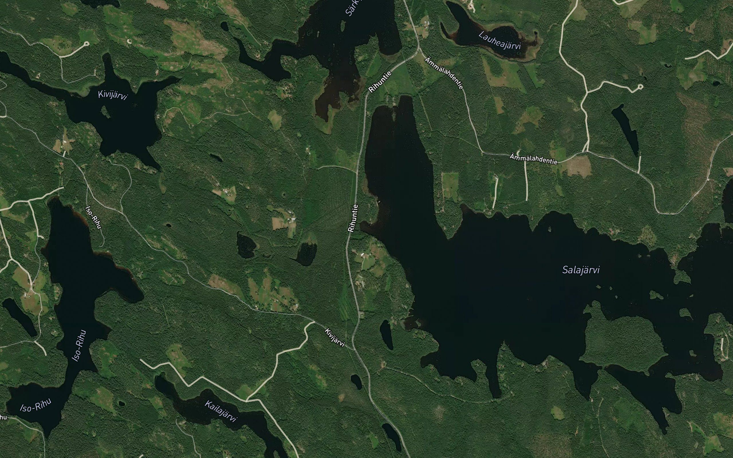 Viitalanlahti