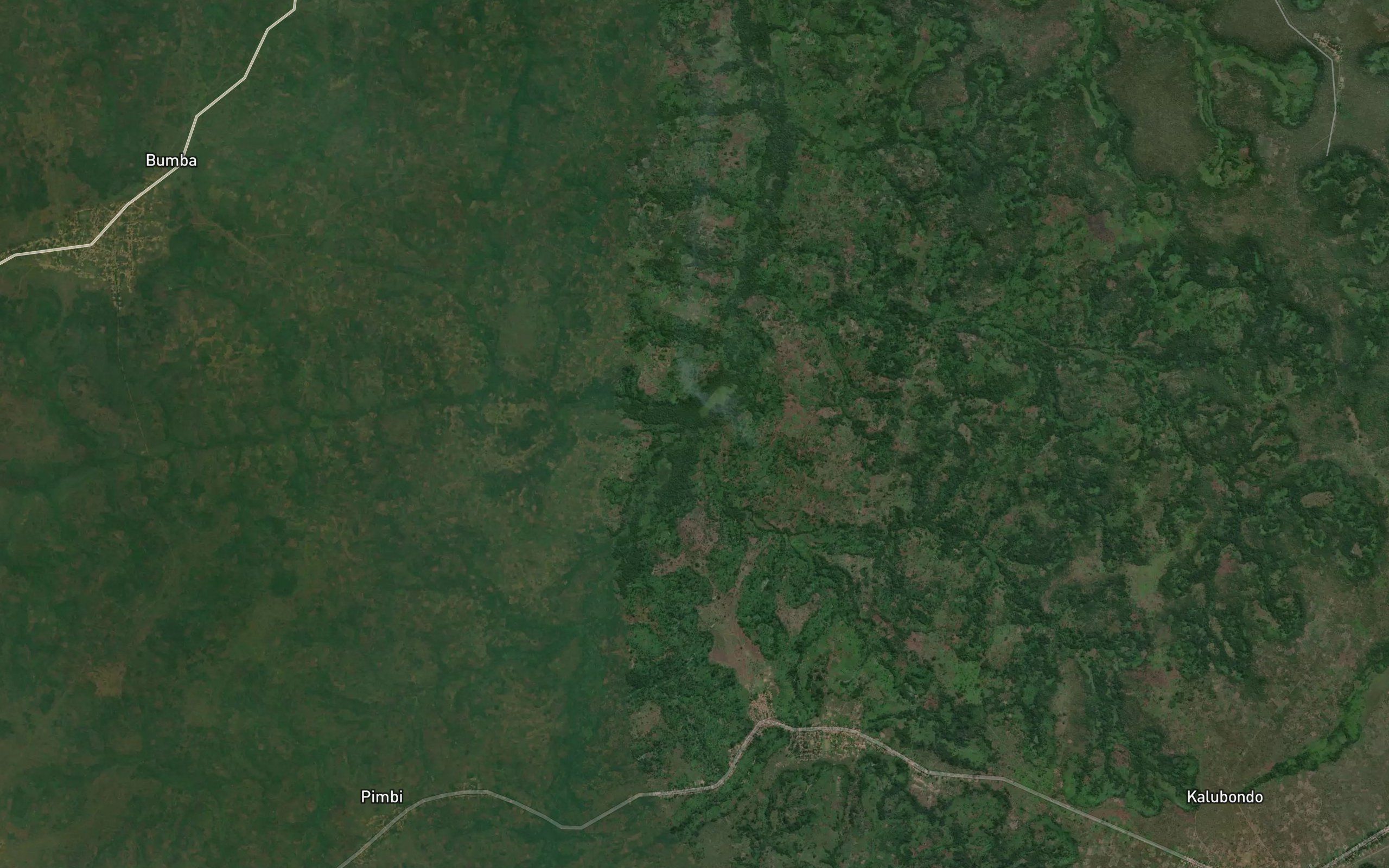 Tshiboji