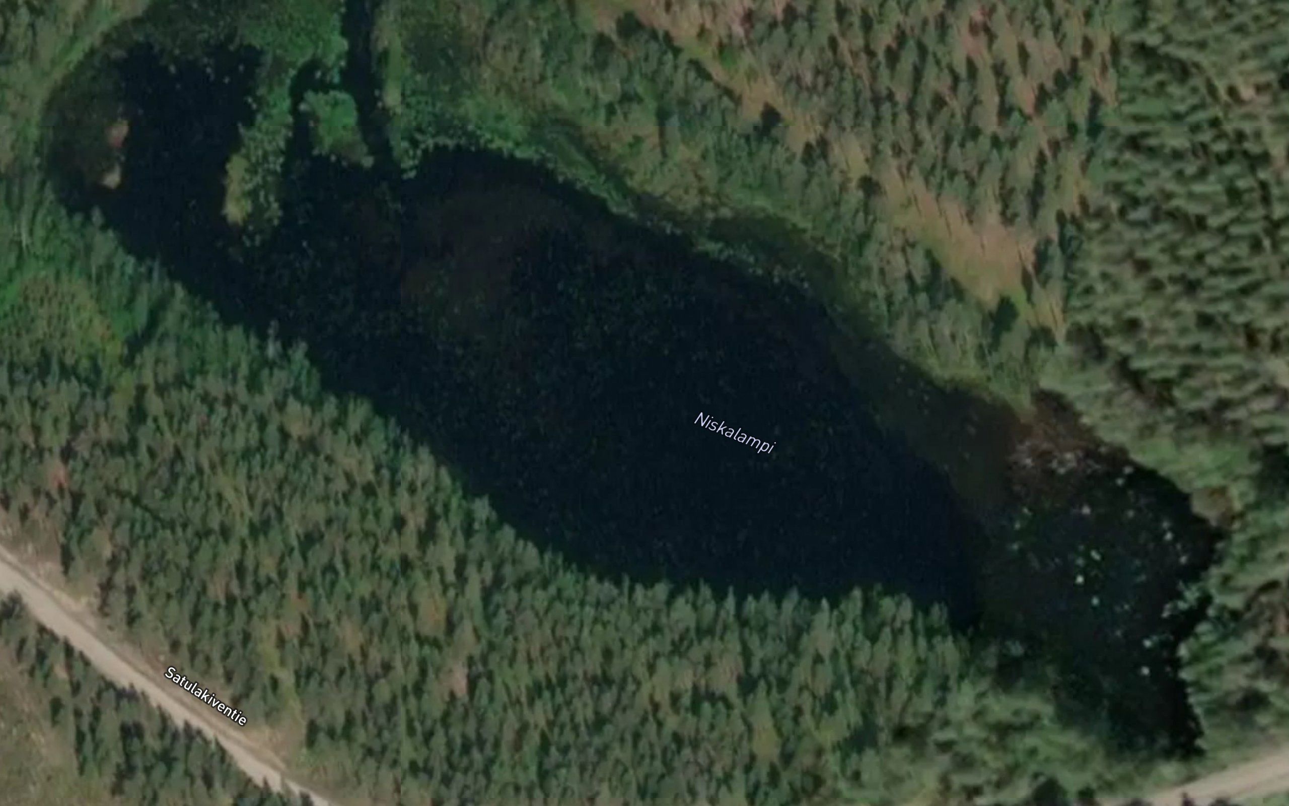 Niskalampi