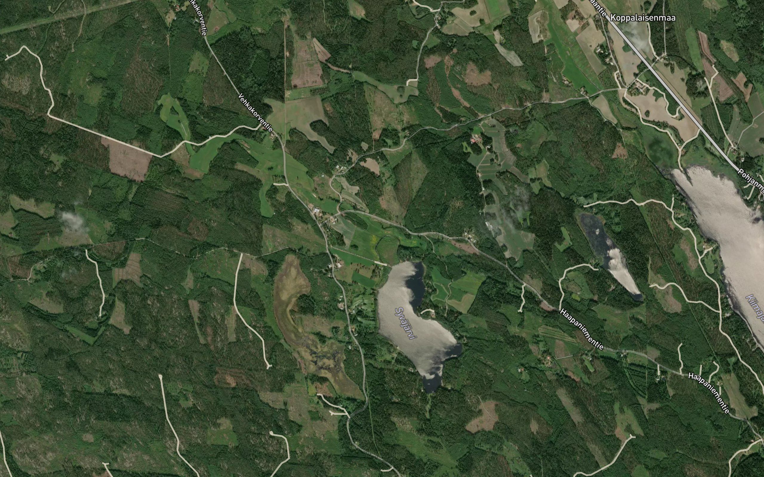Leppikorvenoja