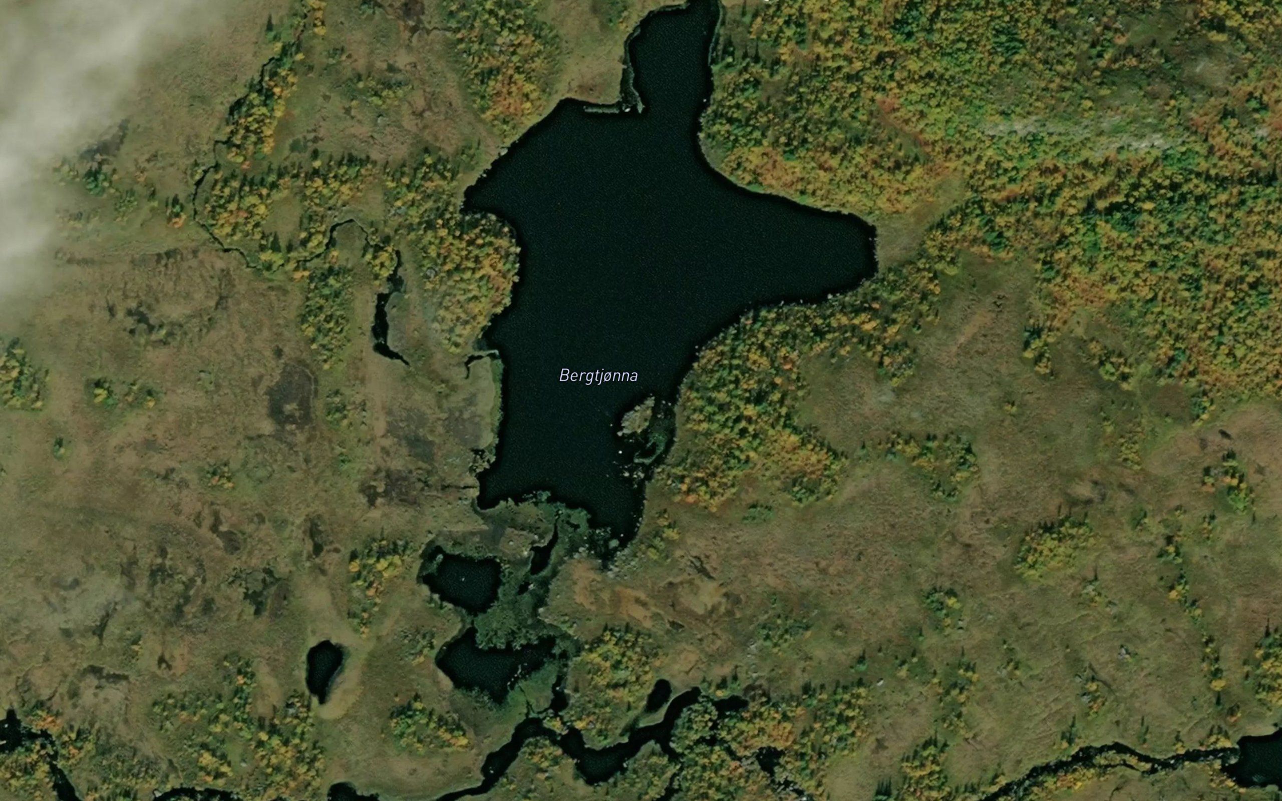 Bergtjorna