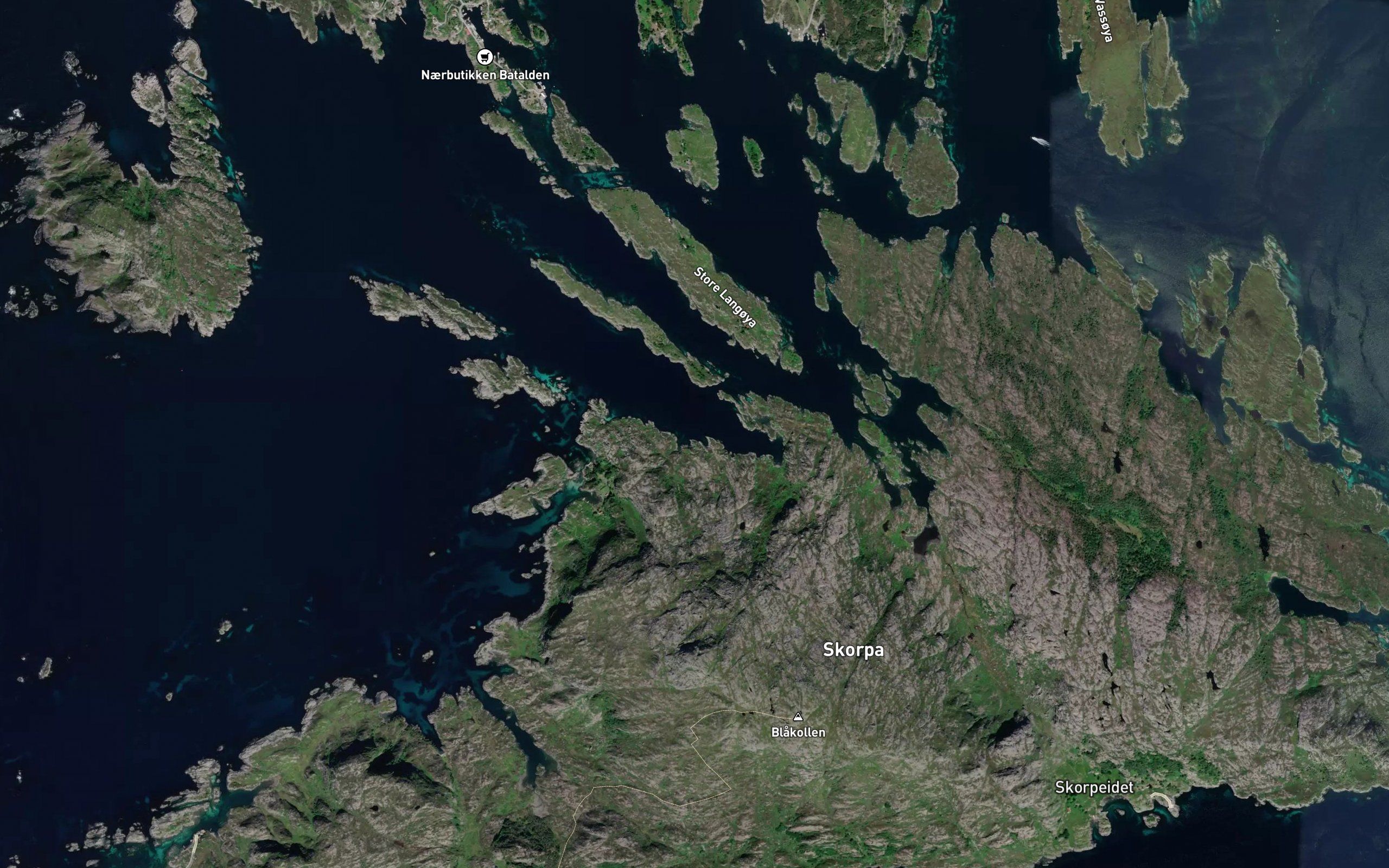 Gronevika