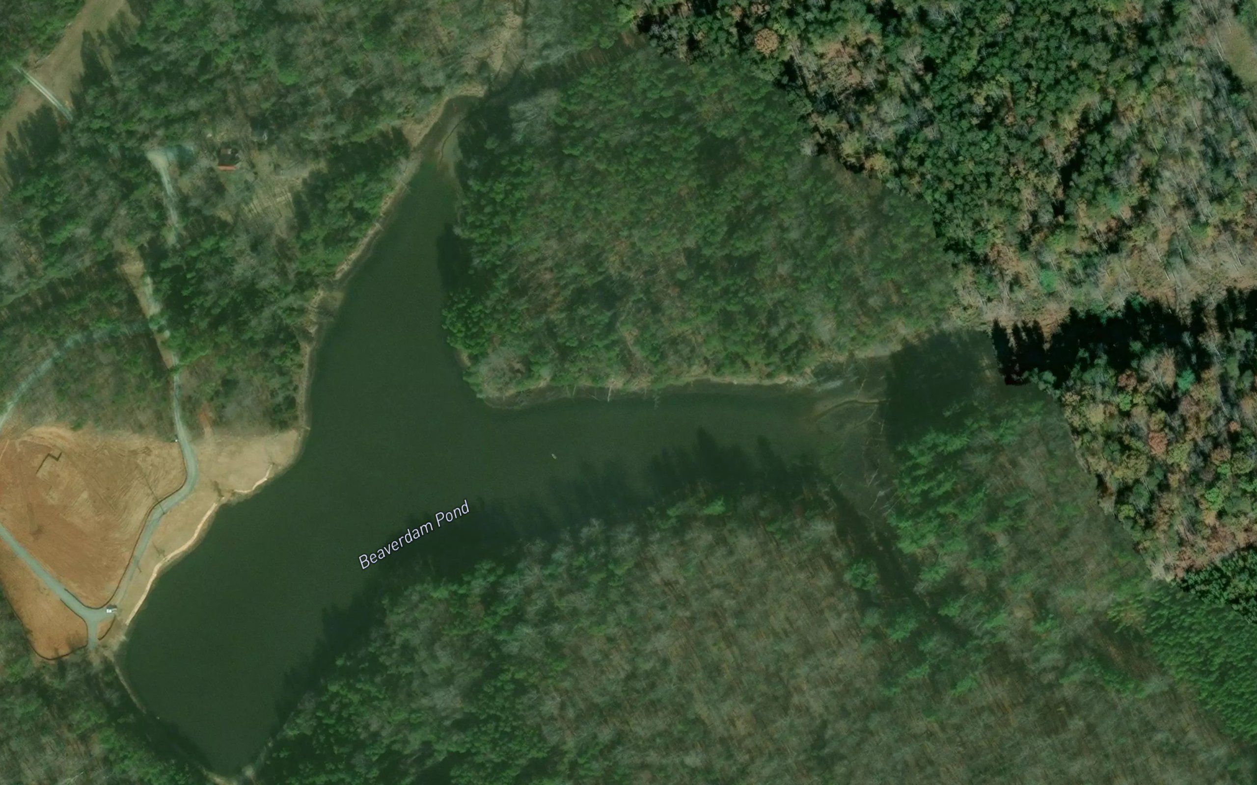 Beaverdam Pond