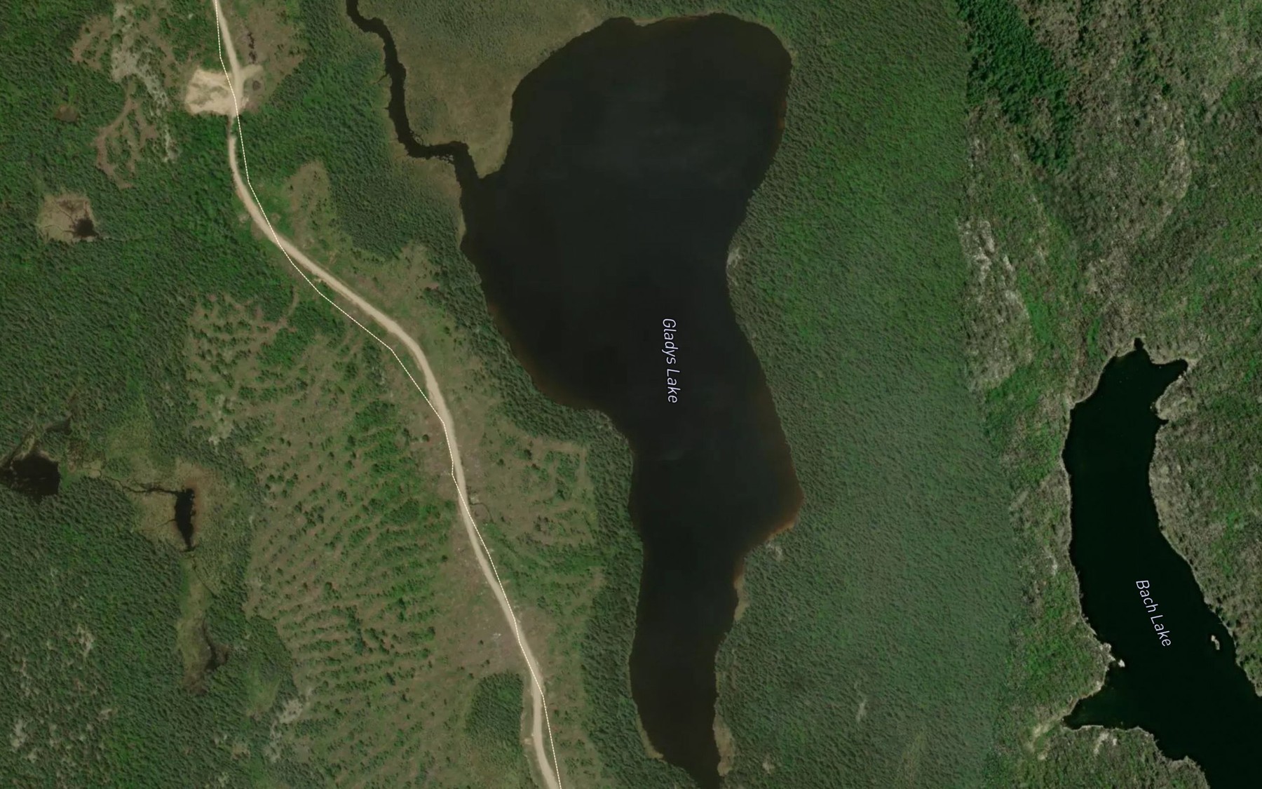 Satellite map of the Gladys Lake