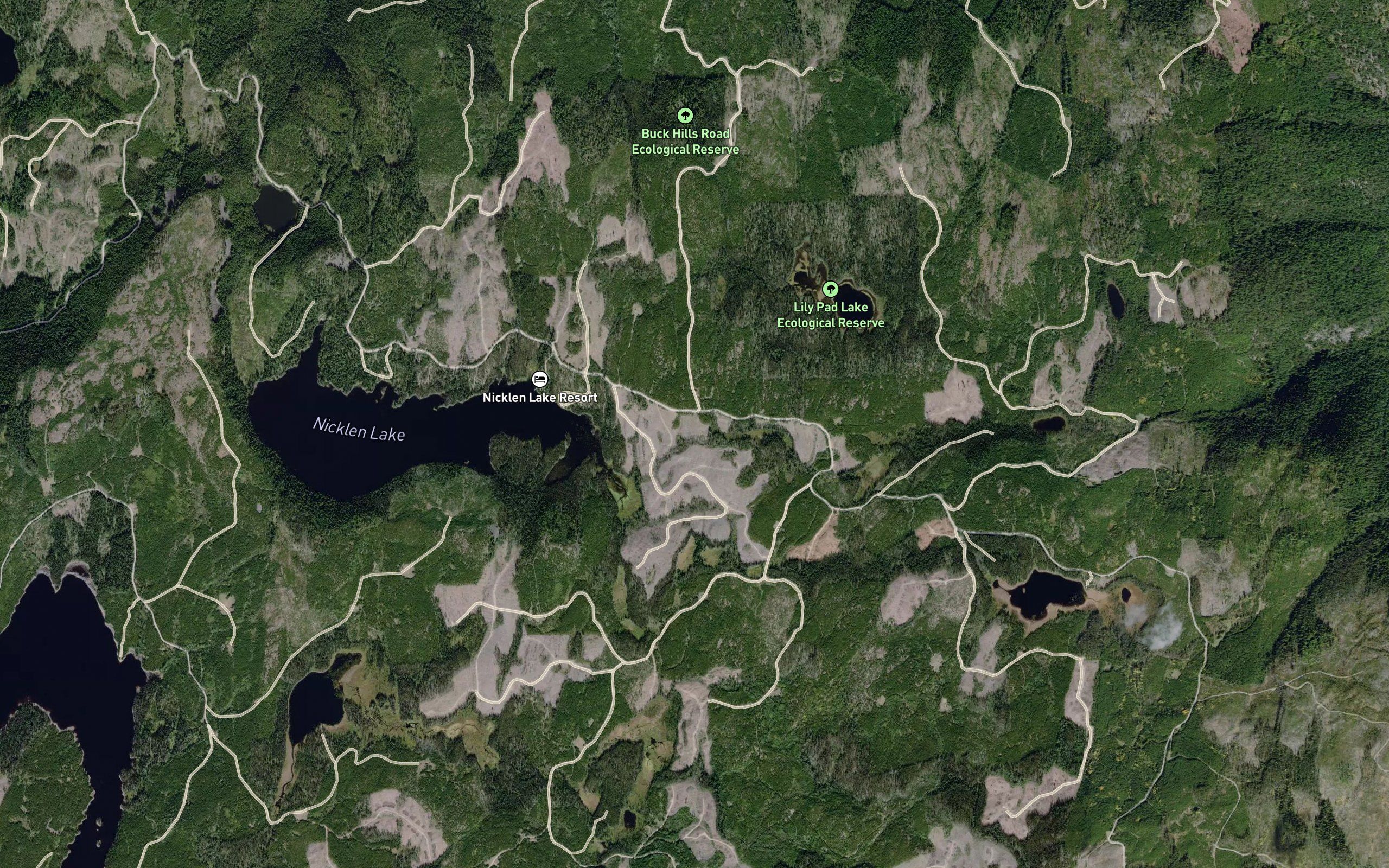 Jerry Lakes