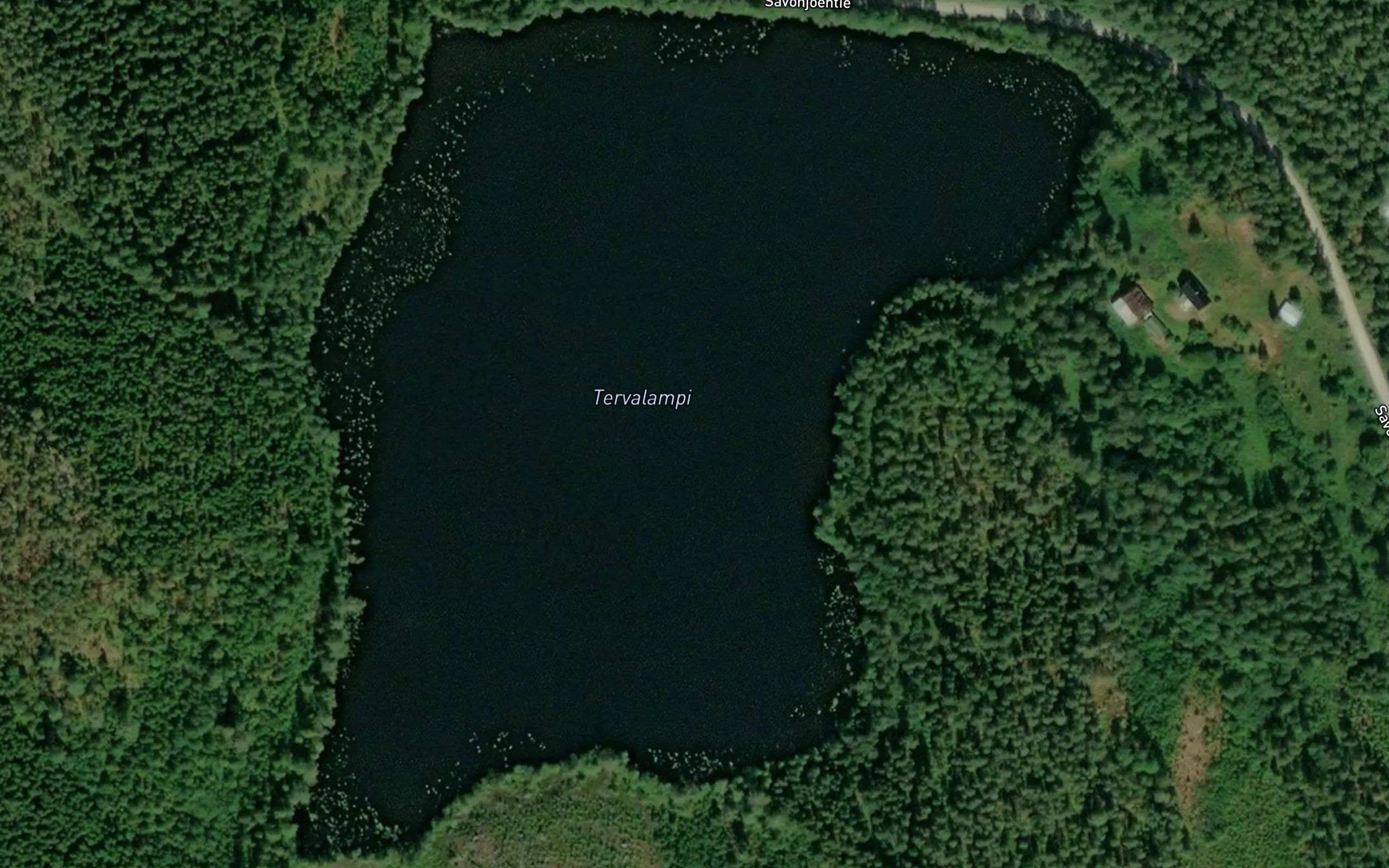 Tervalampi