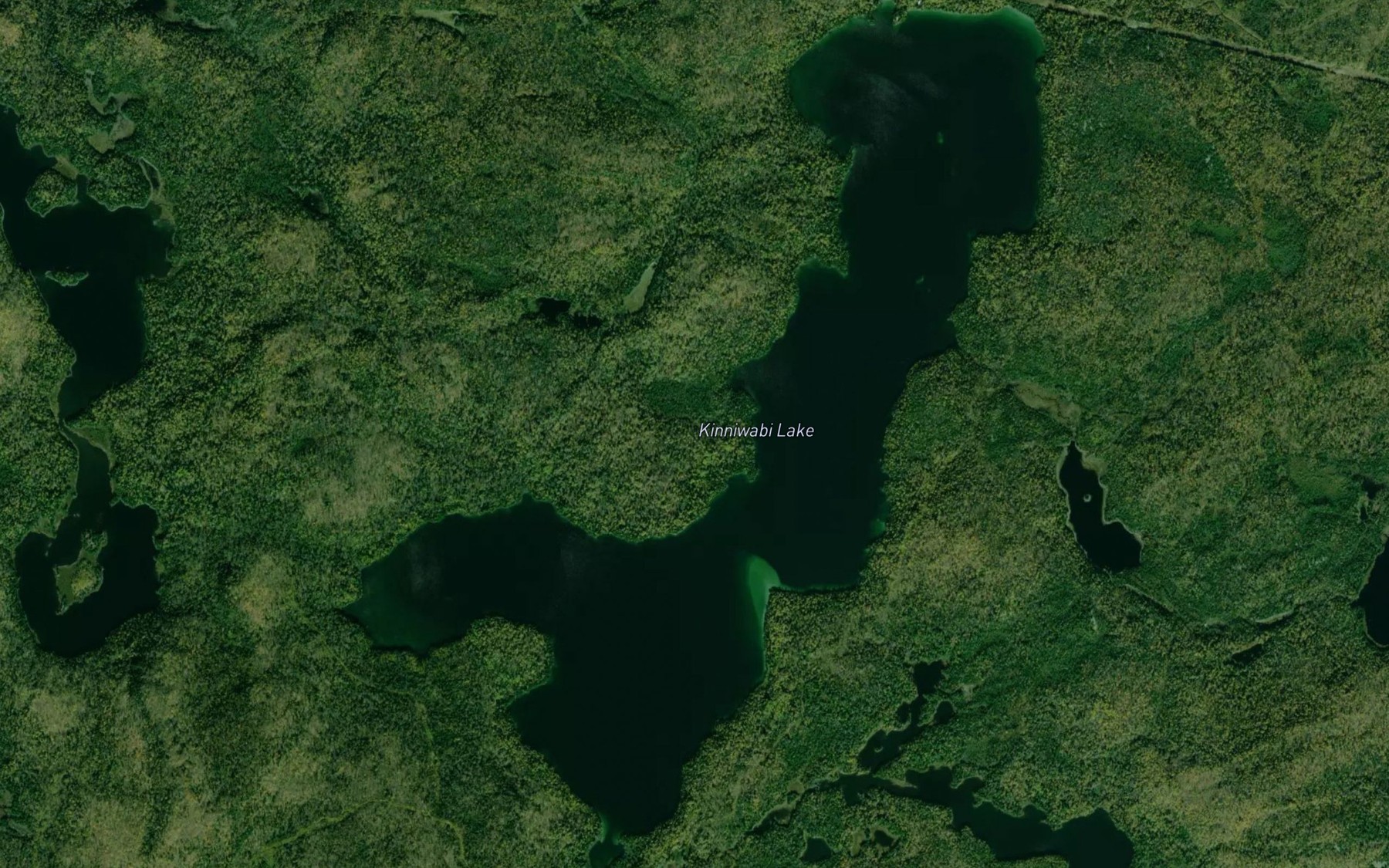 Satellite map of the Kinniwabi Lake