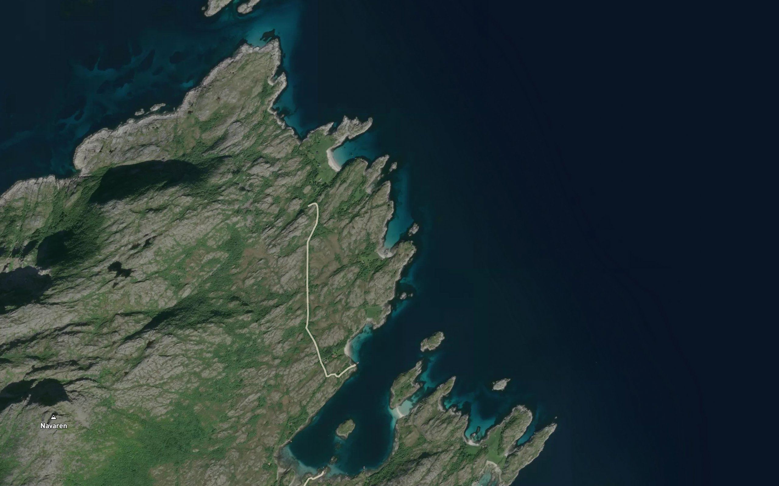 Breivika