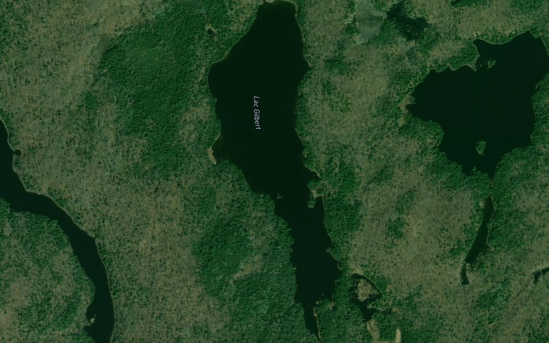 Satellite map of the Lac Gilbert