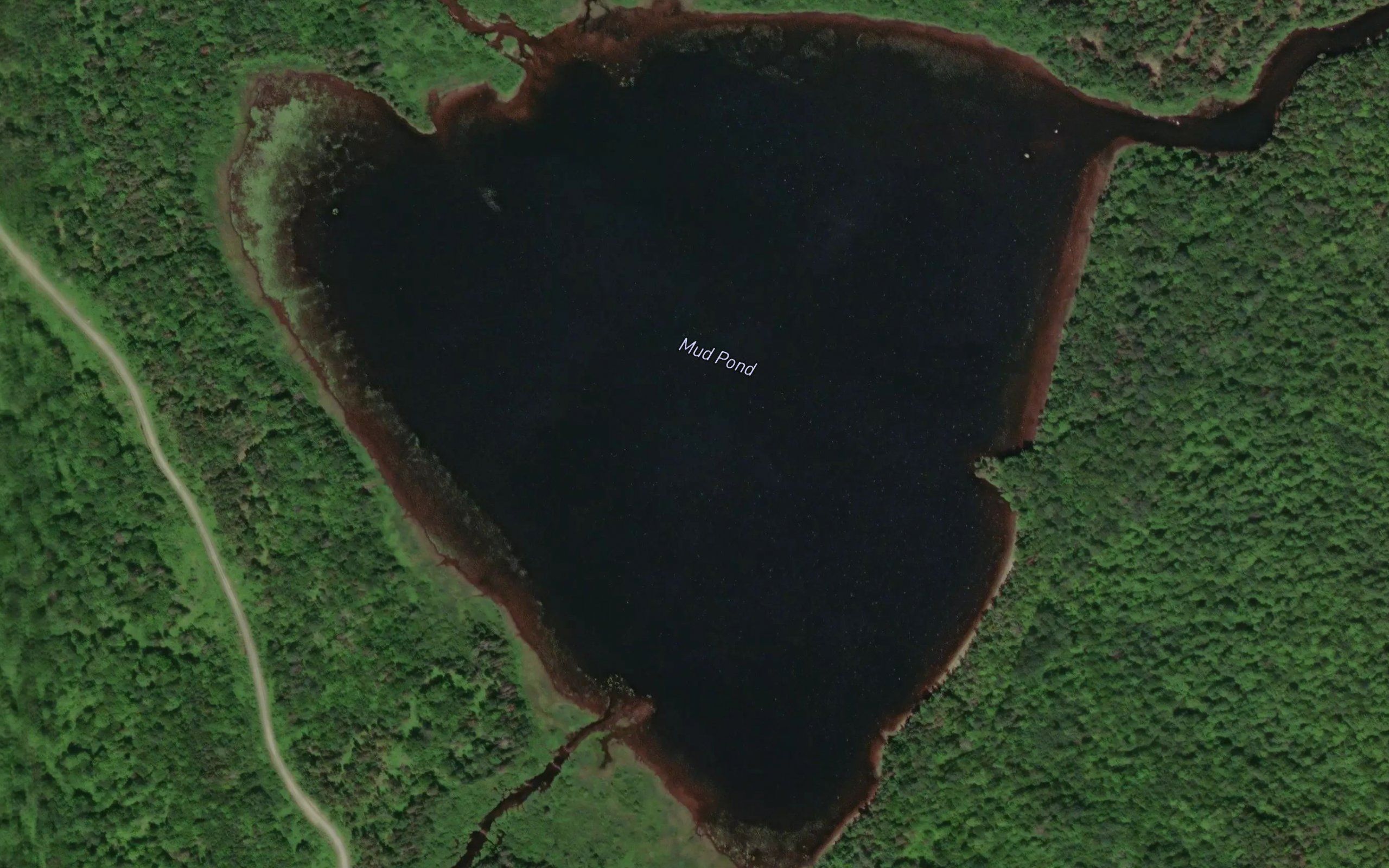 Mud Pond