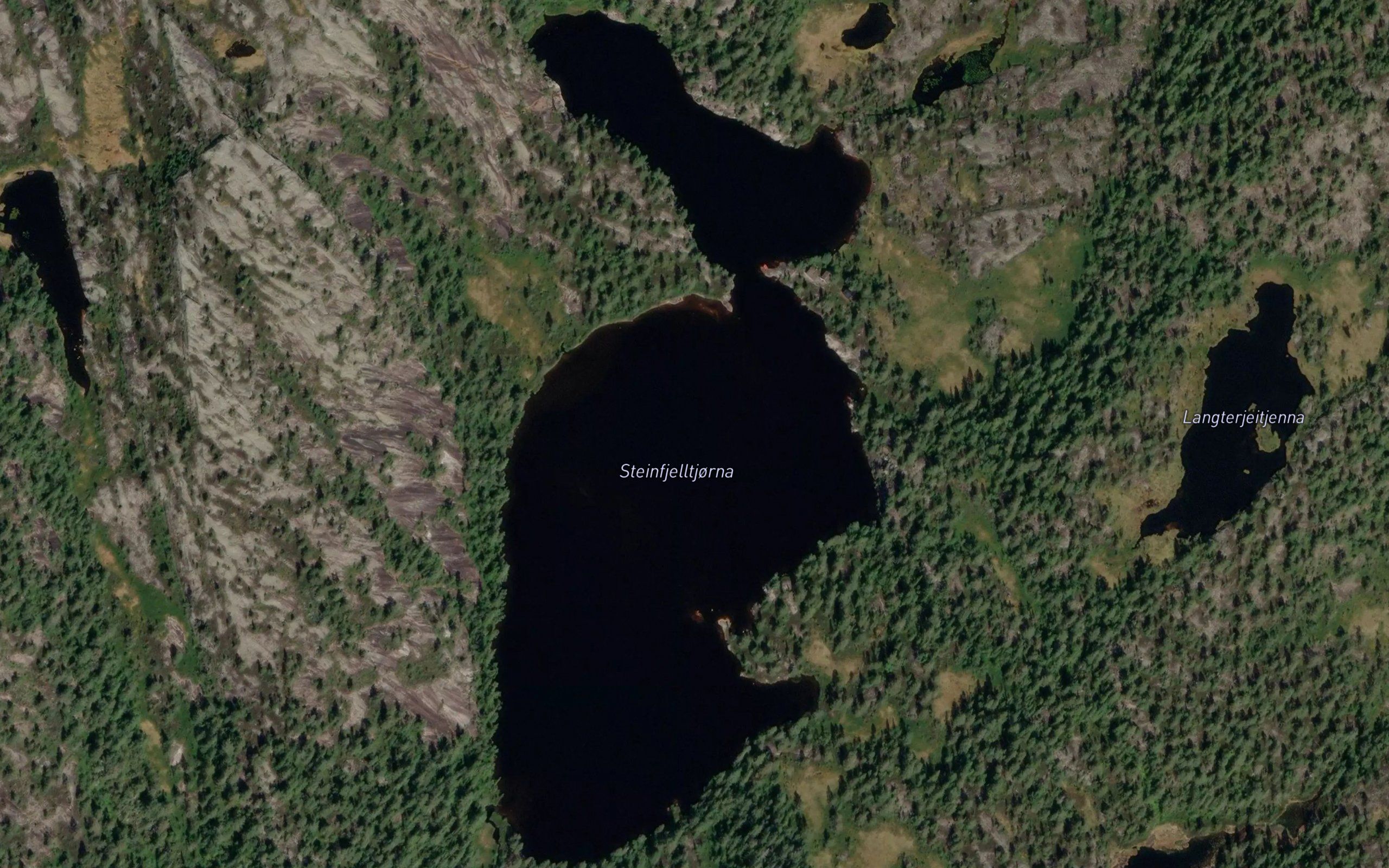 Steinfjelltjorna