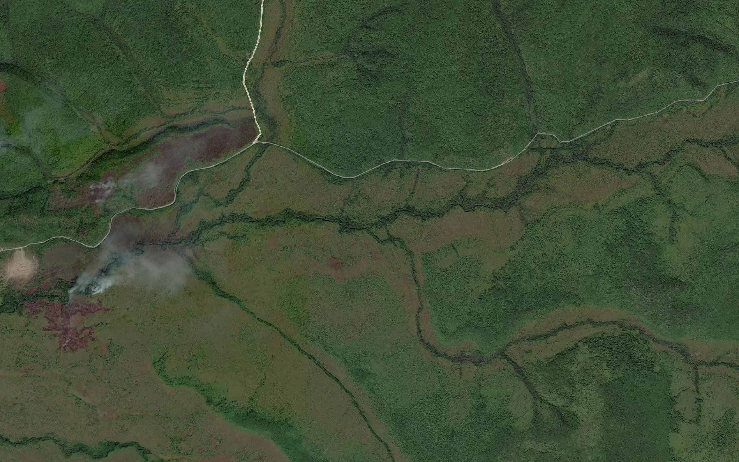 Akalatchi