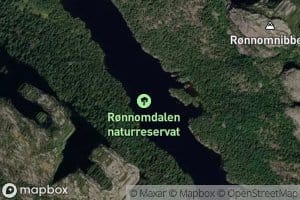 Ronnomsdalsvatnet