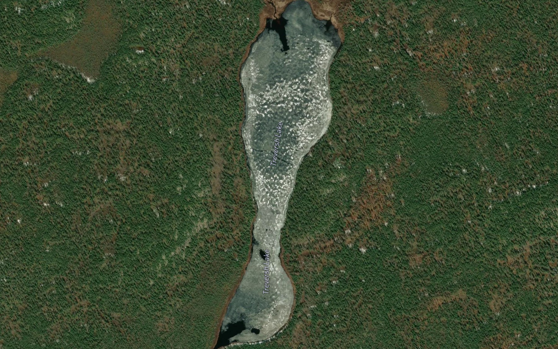 Satellite map of the Treversh Lake