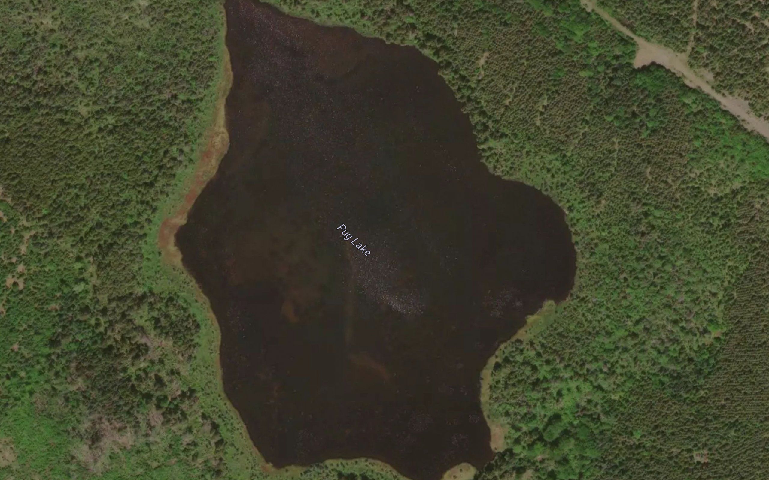 Pug Lake