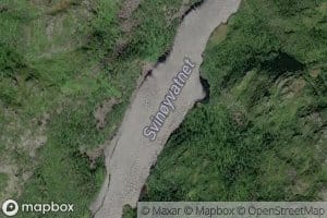 Svinoyvatnet