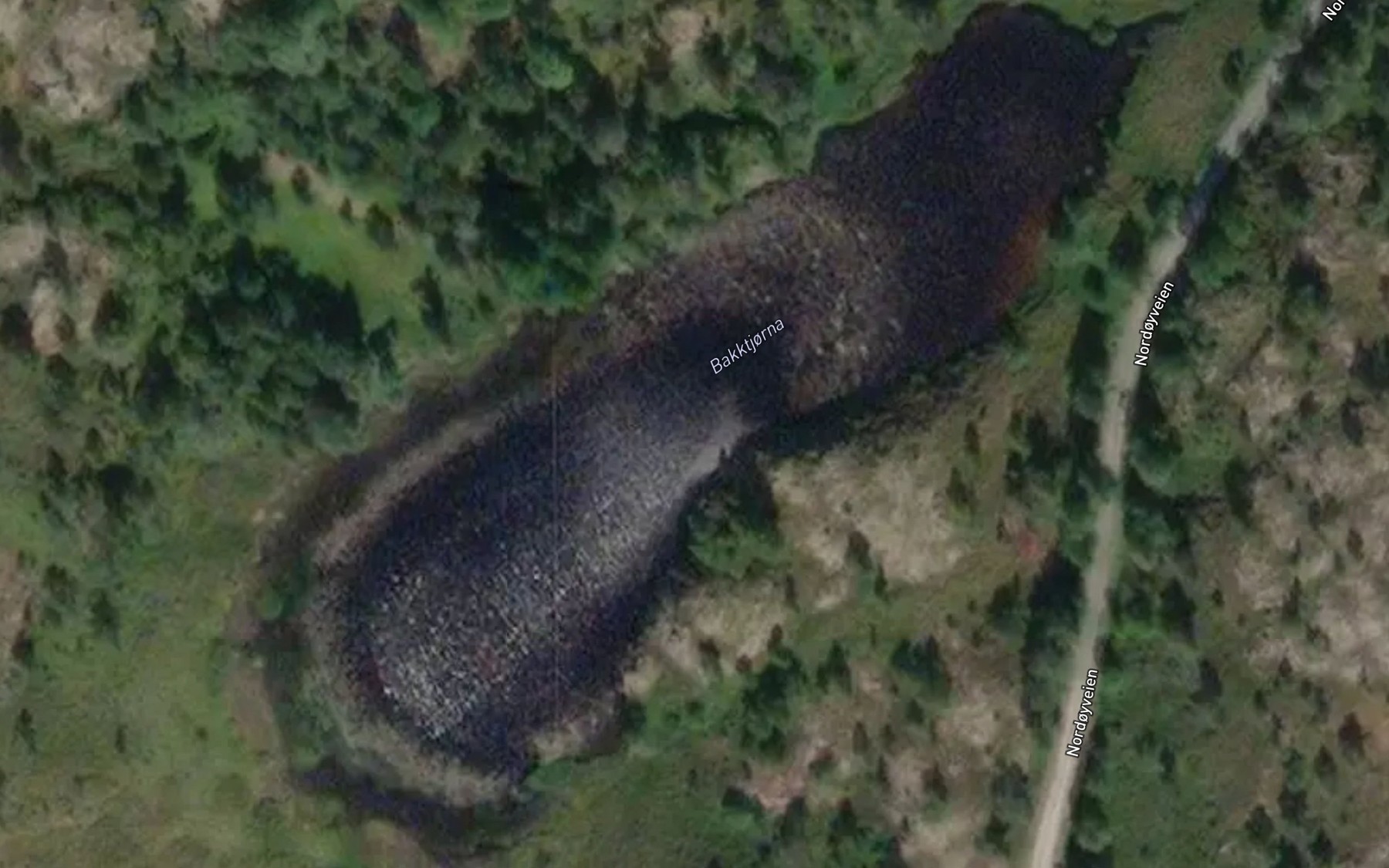 Satellite map of the Bakktjorna