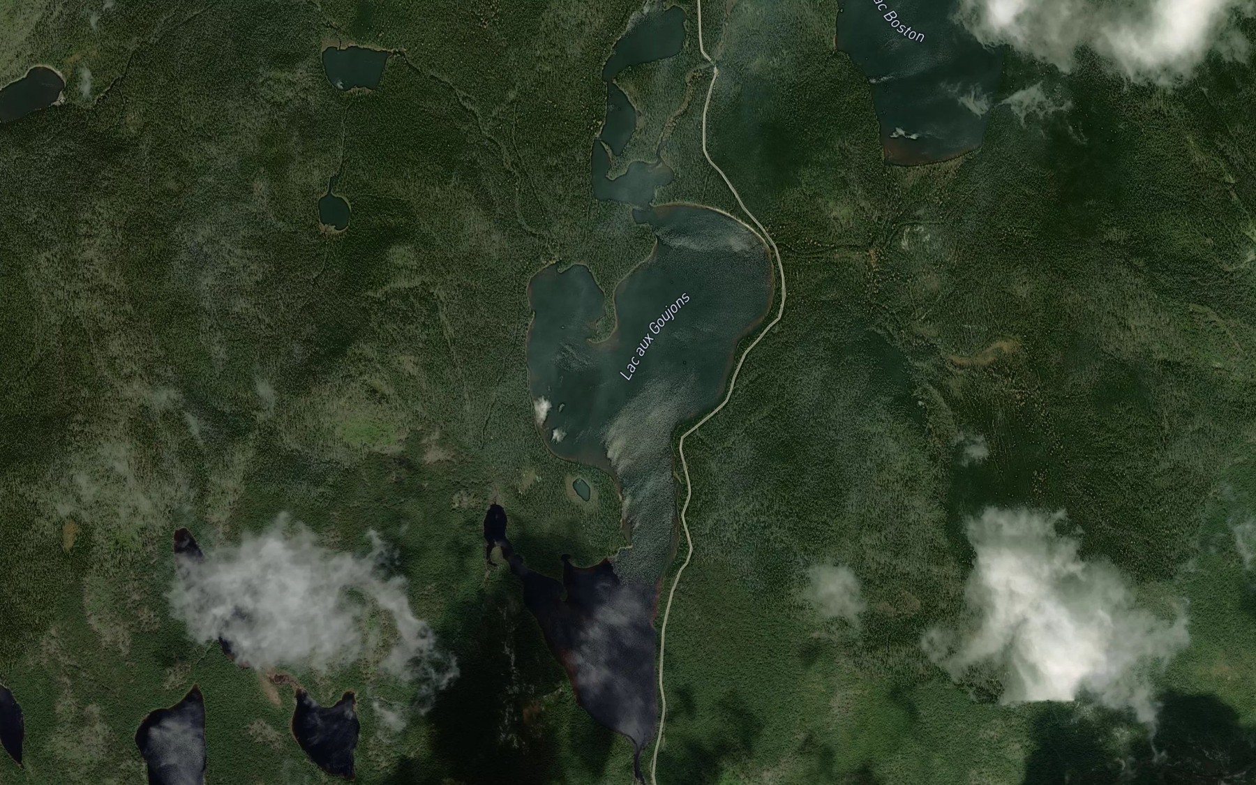 Satellite map of the Lac aux Goujons