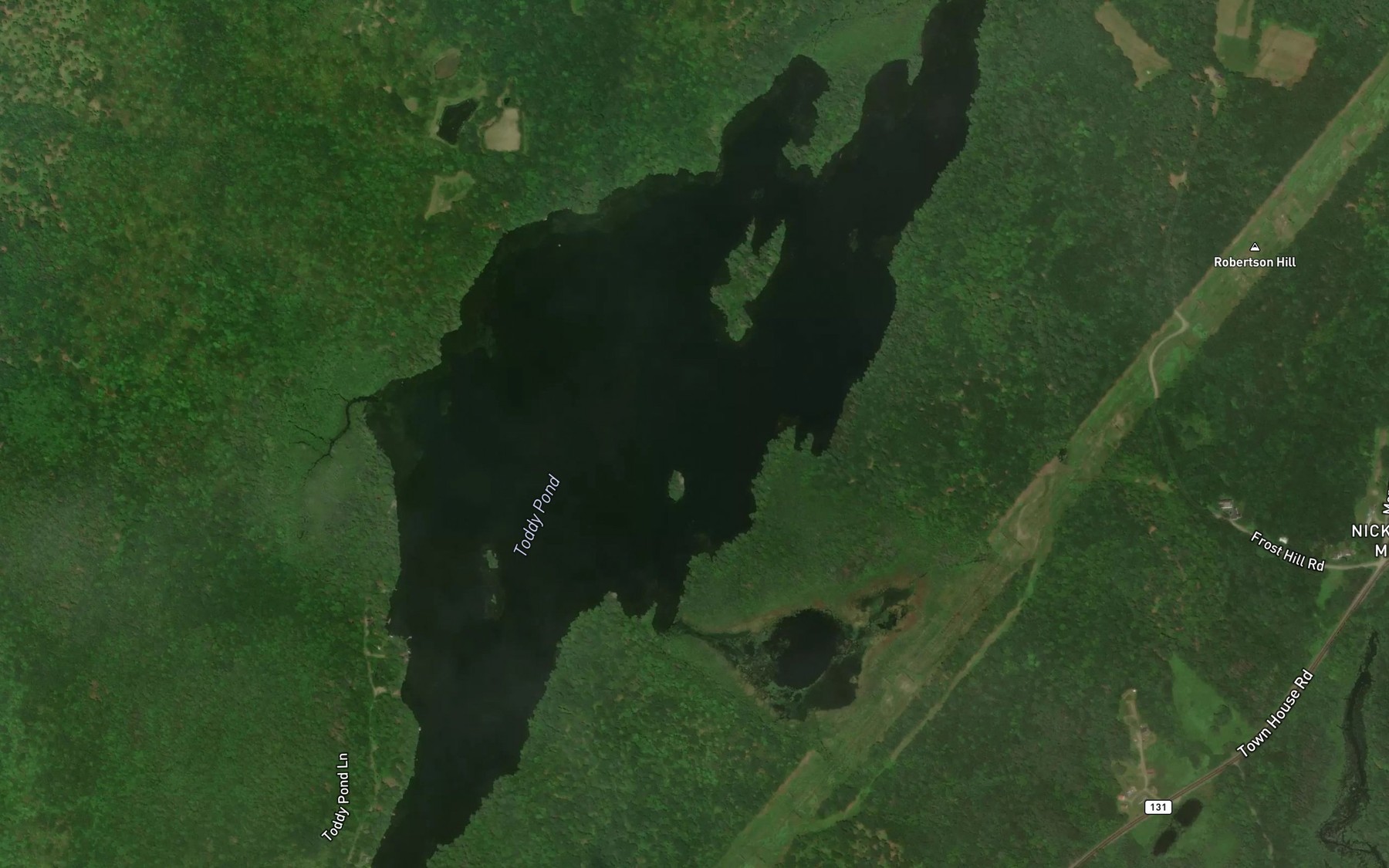 Satellite map of the Toddy Pond