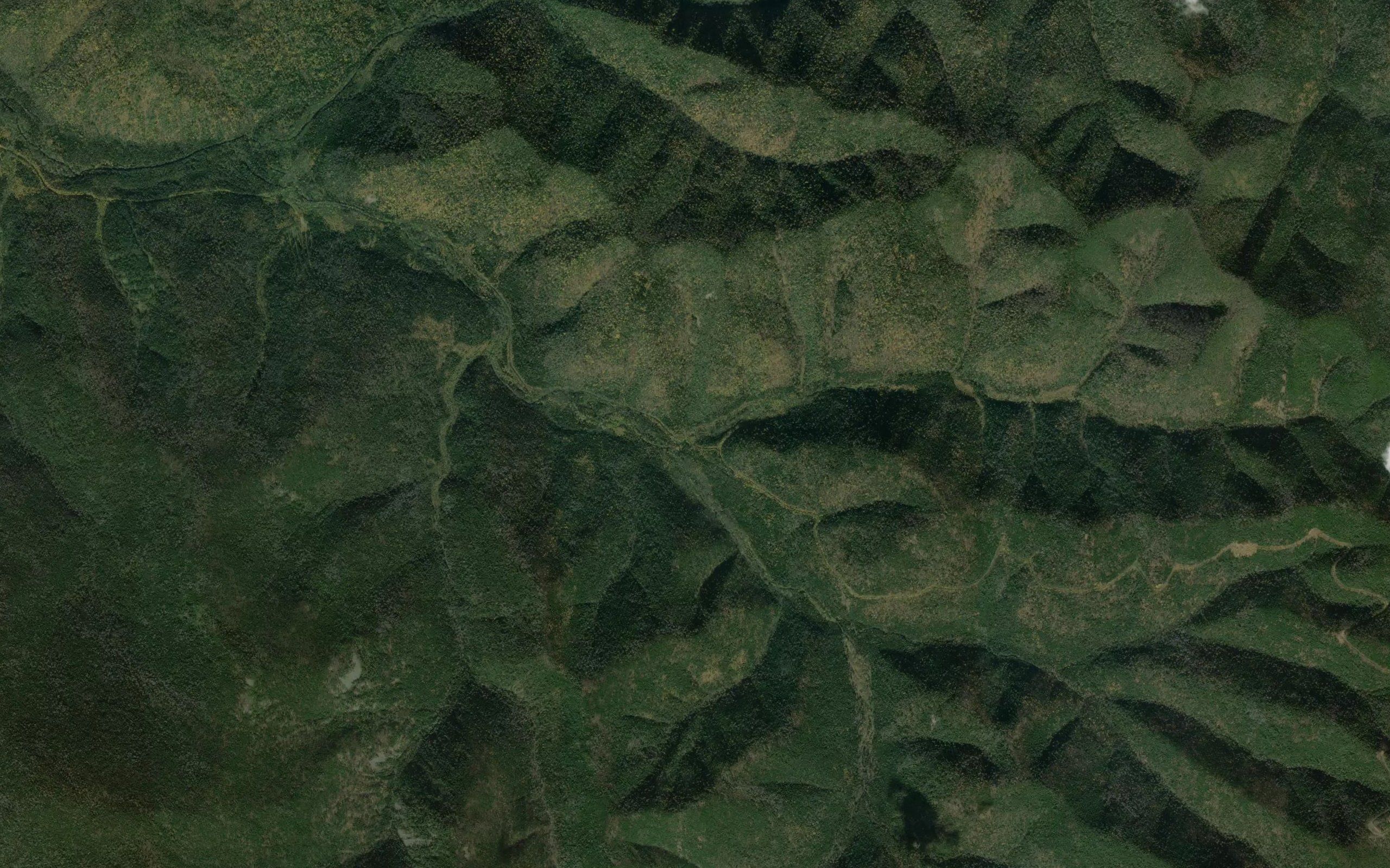Pali