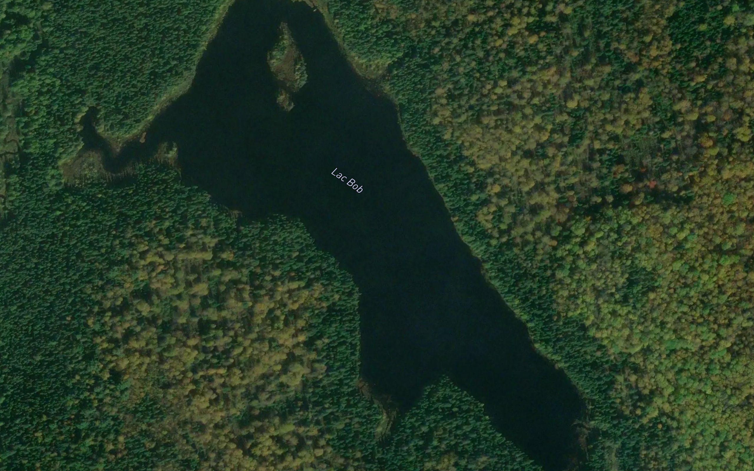 Lac Bob