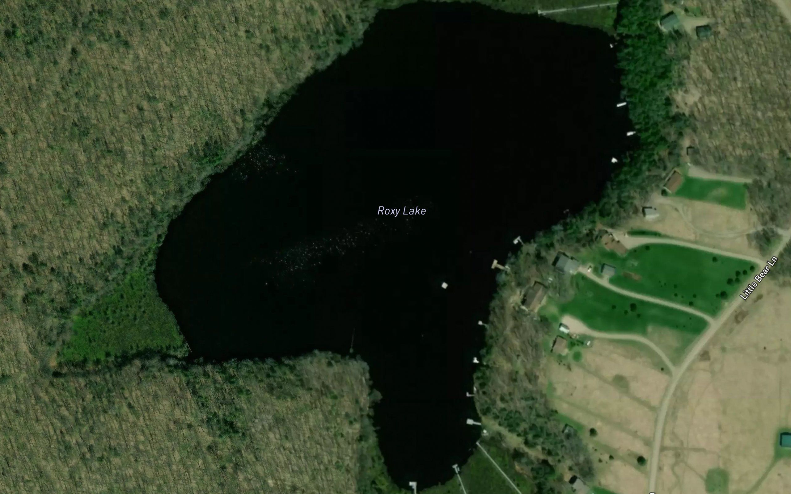 Roxy Lake