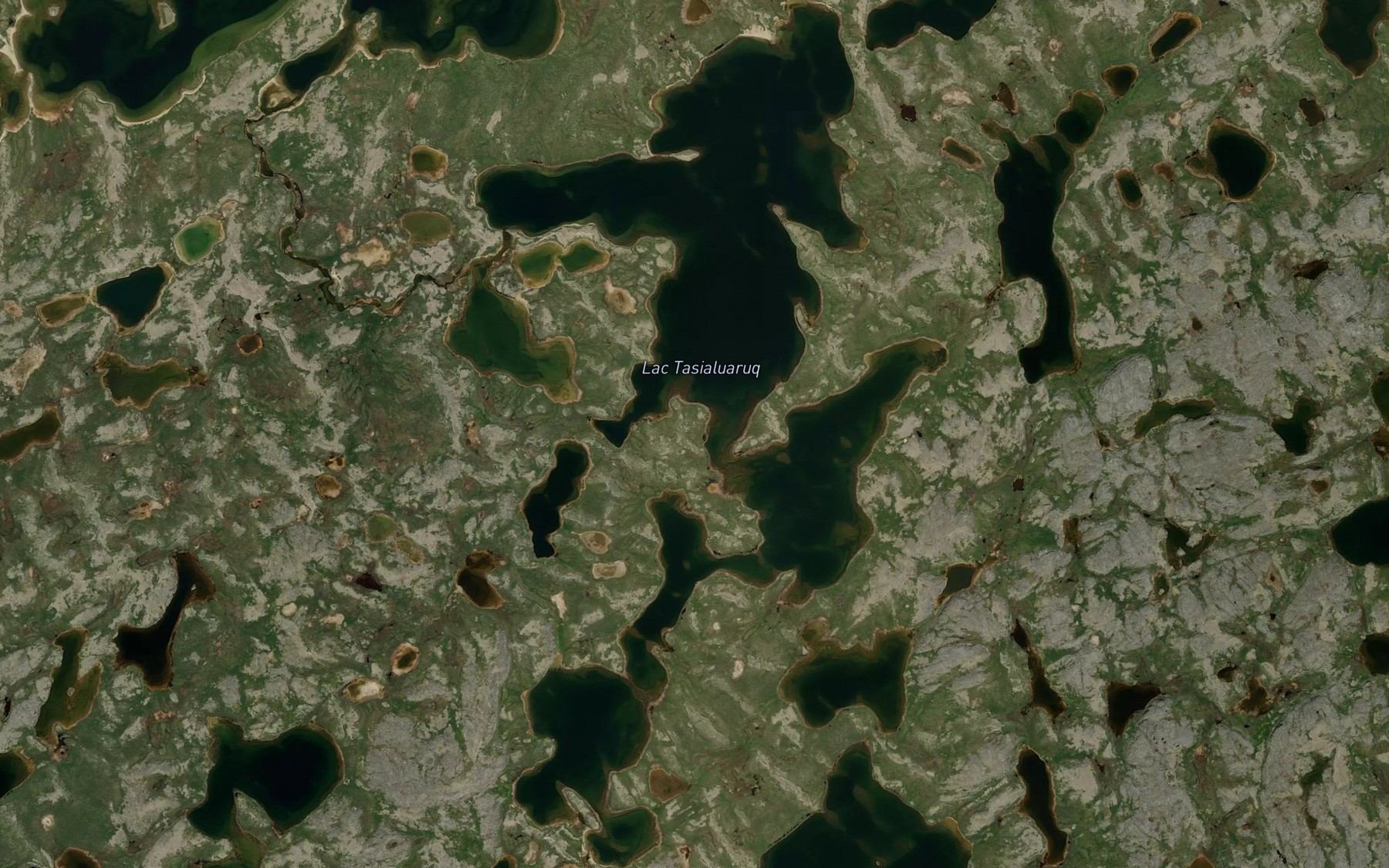 Satellite map of the Lac Tasialuaruq