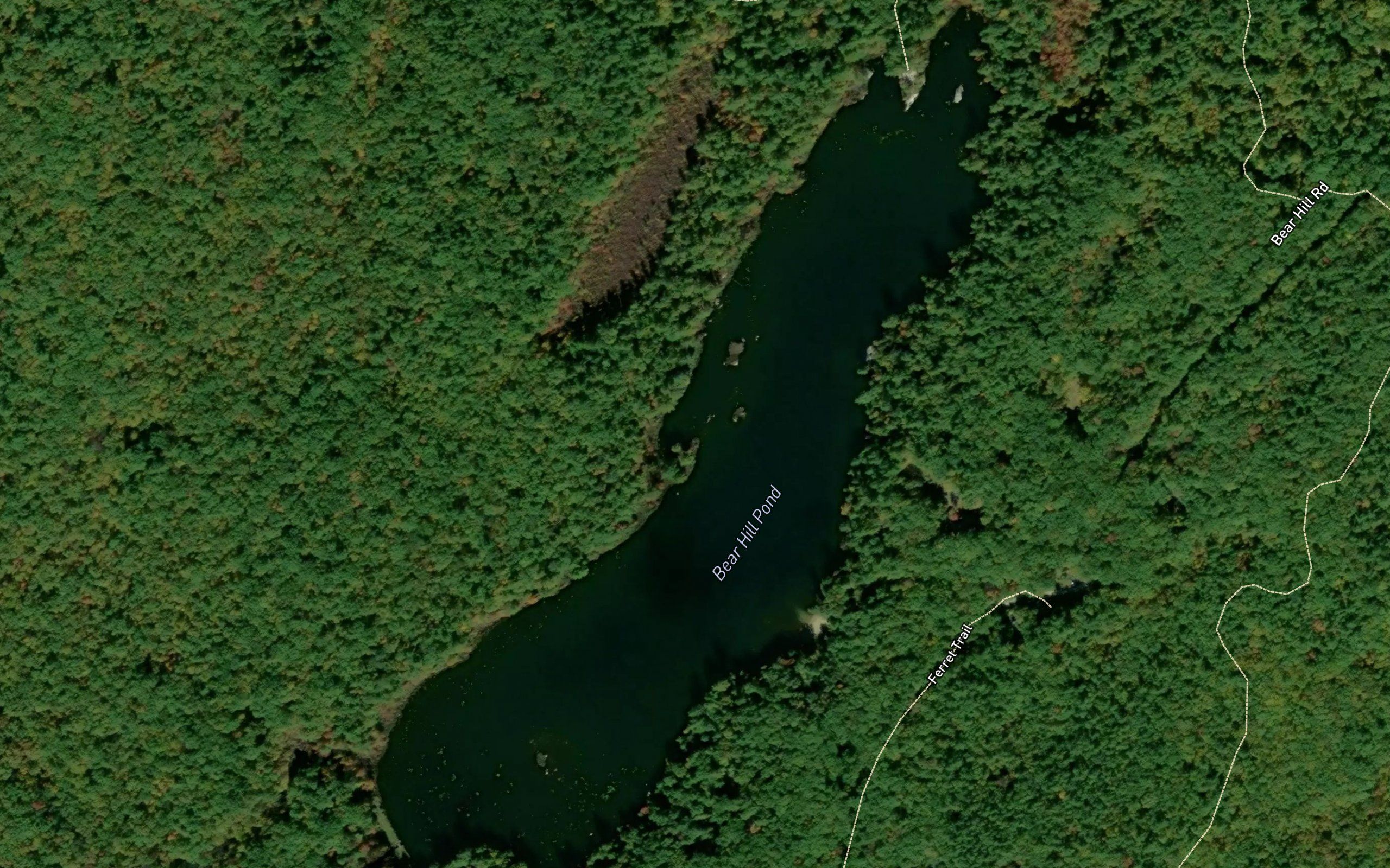 Bear Hill Pond