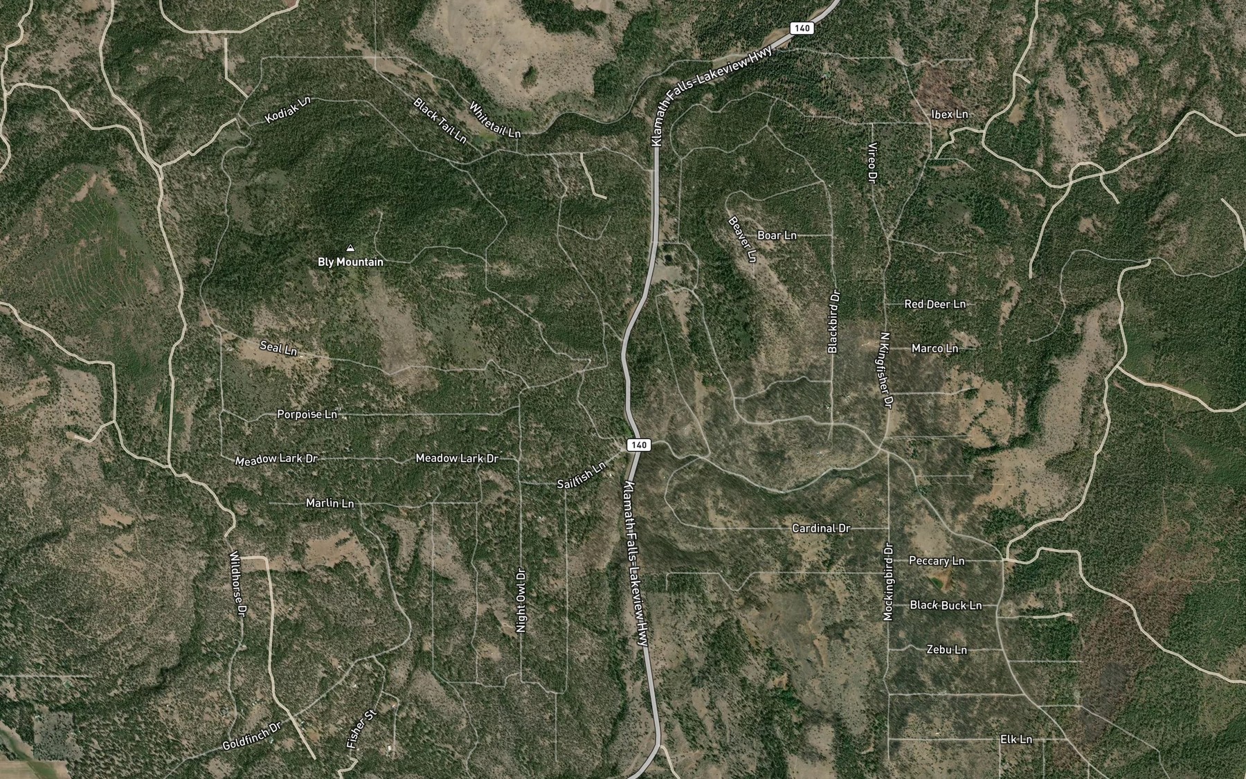 Satellite map of the Wildhorse Spring