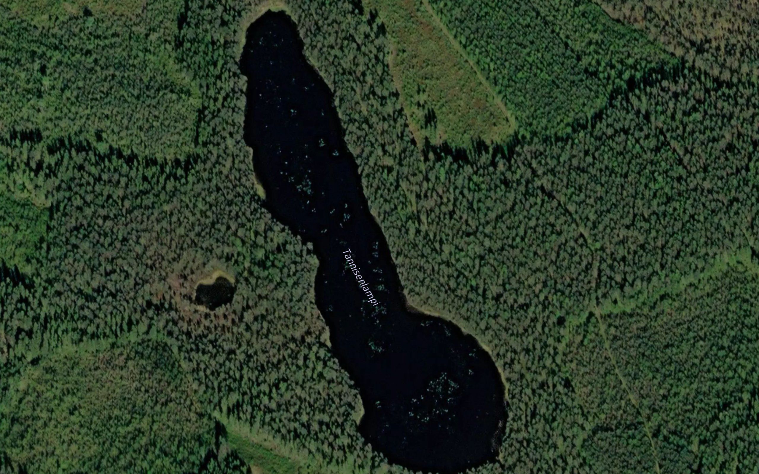 Tannisenlampi