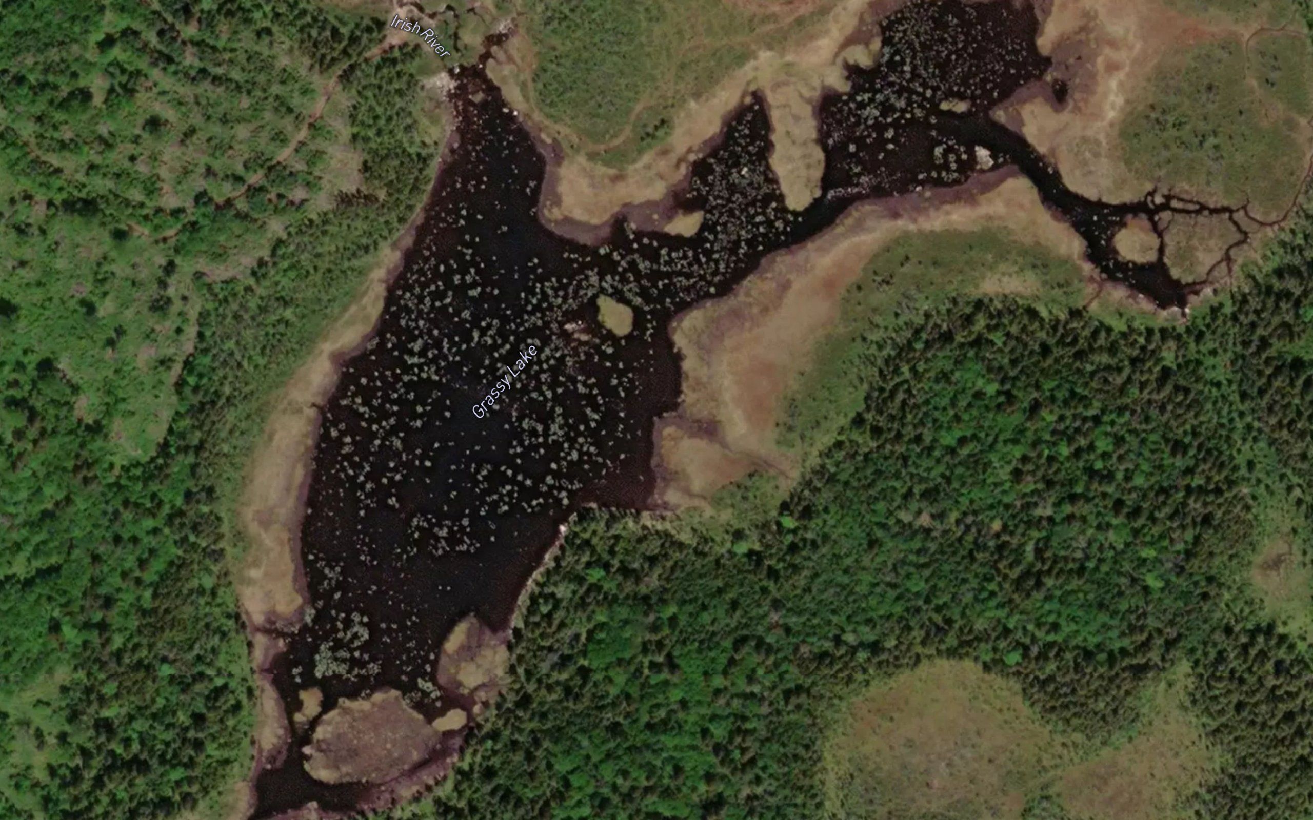 Grassy Lake
