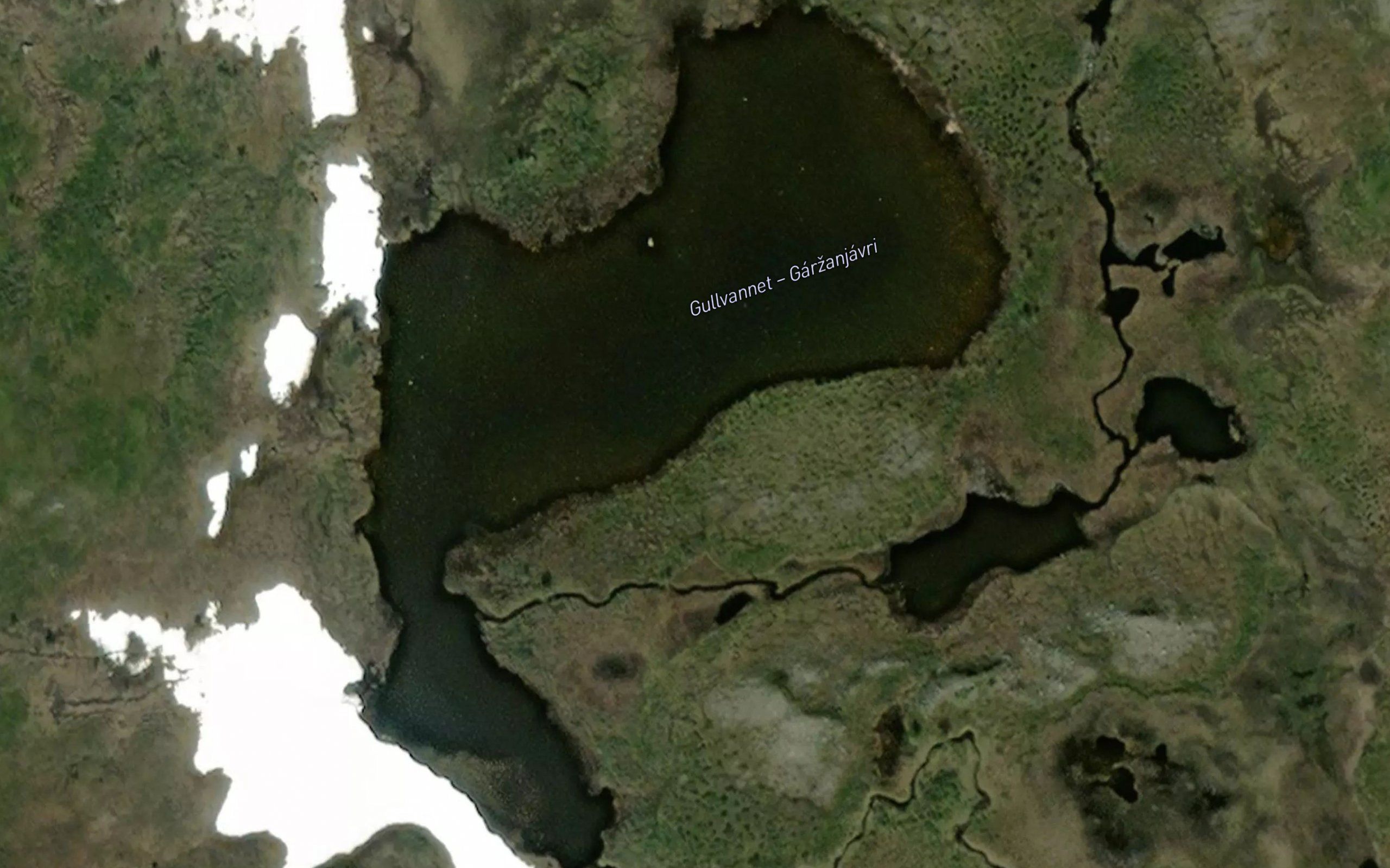 Garnanjavri