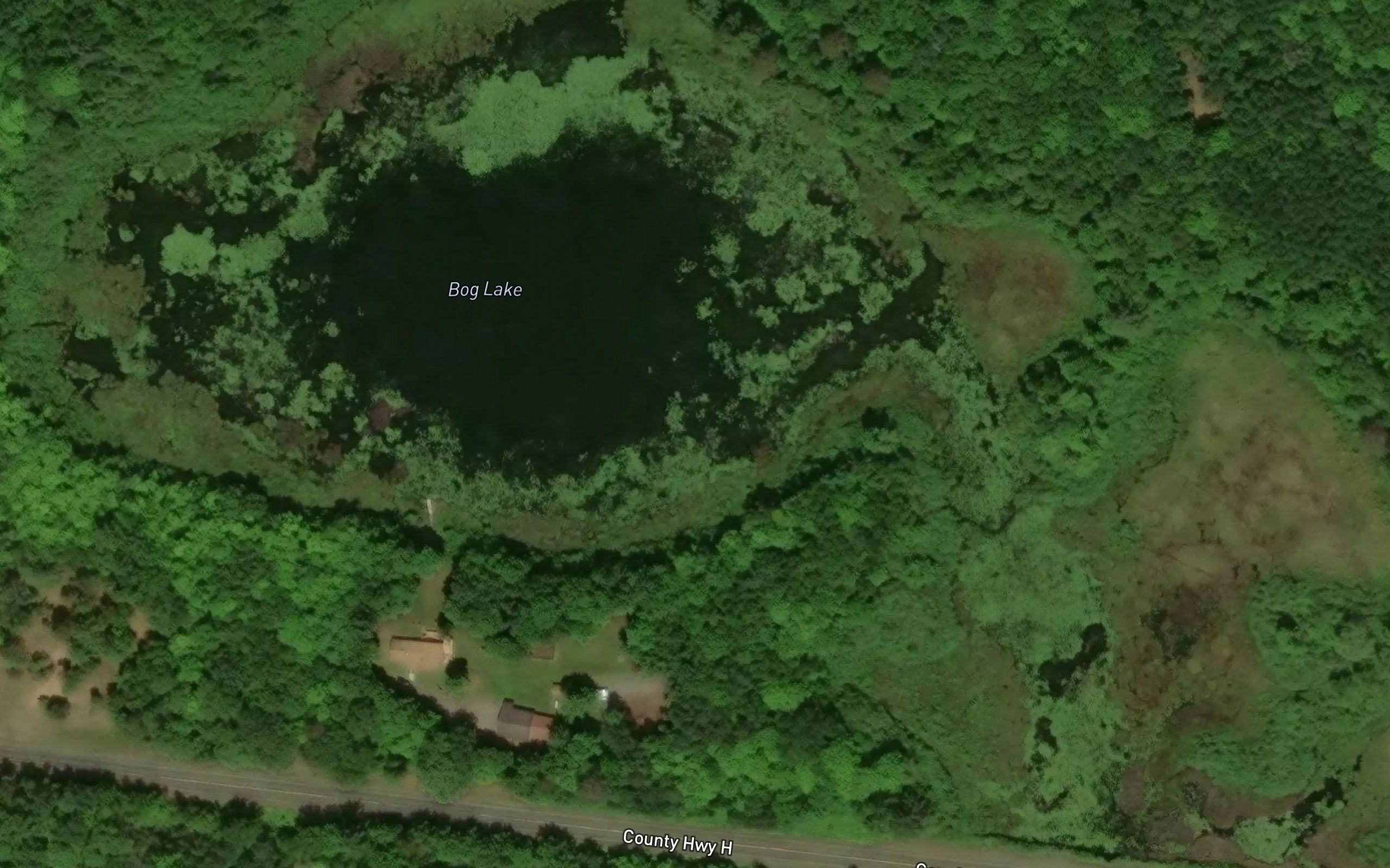 Bog Lake