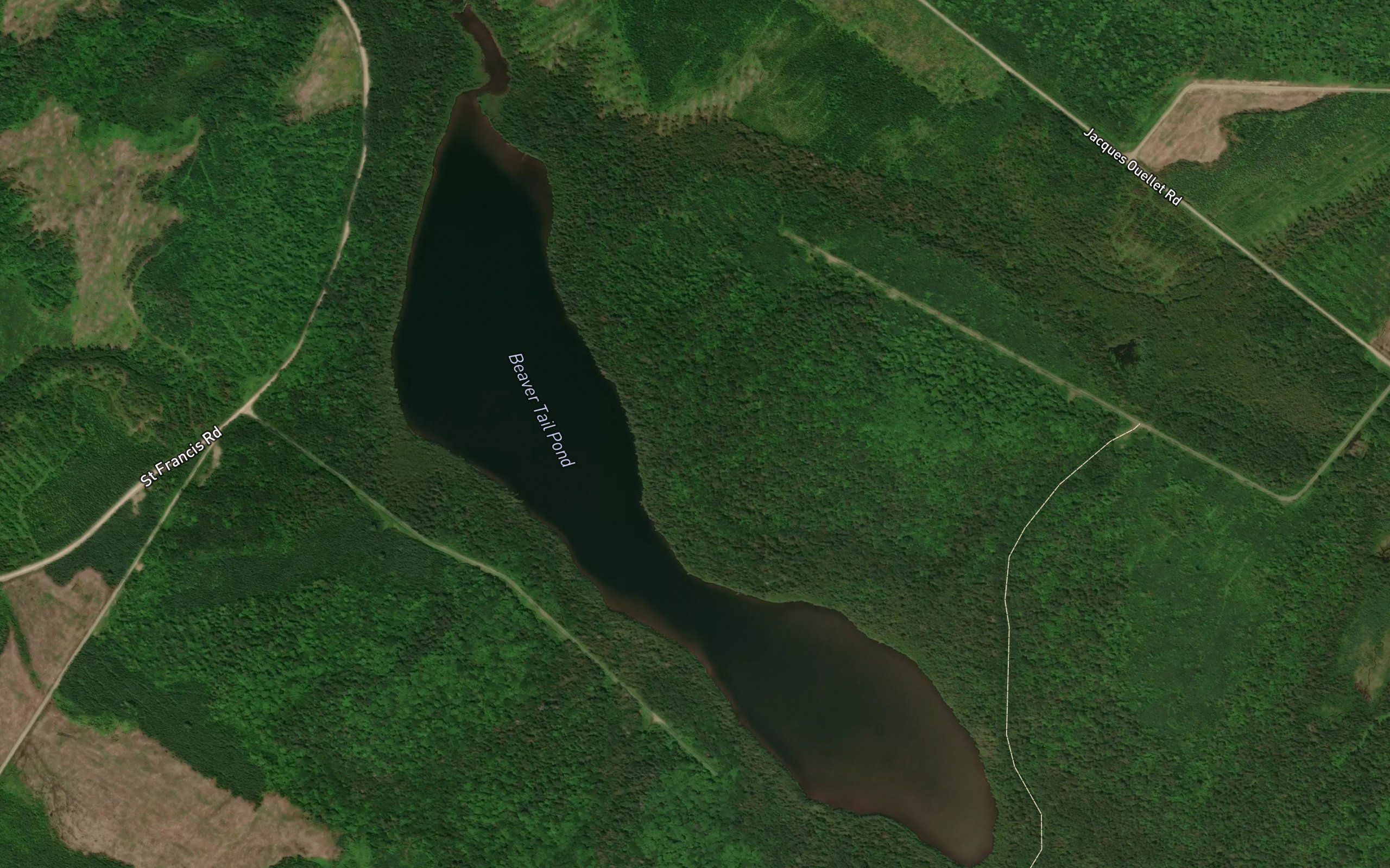 Beaver Tail Pond