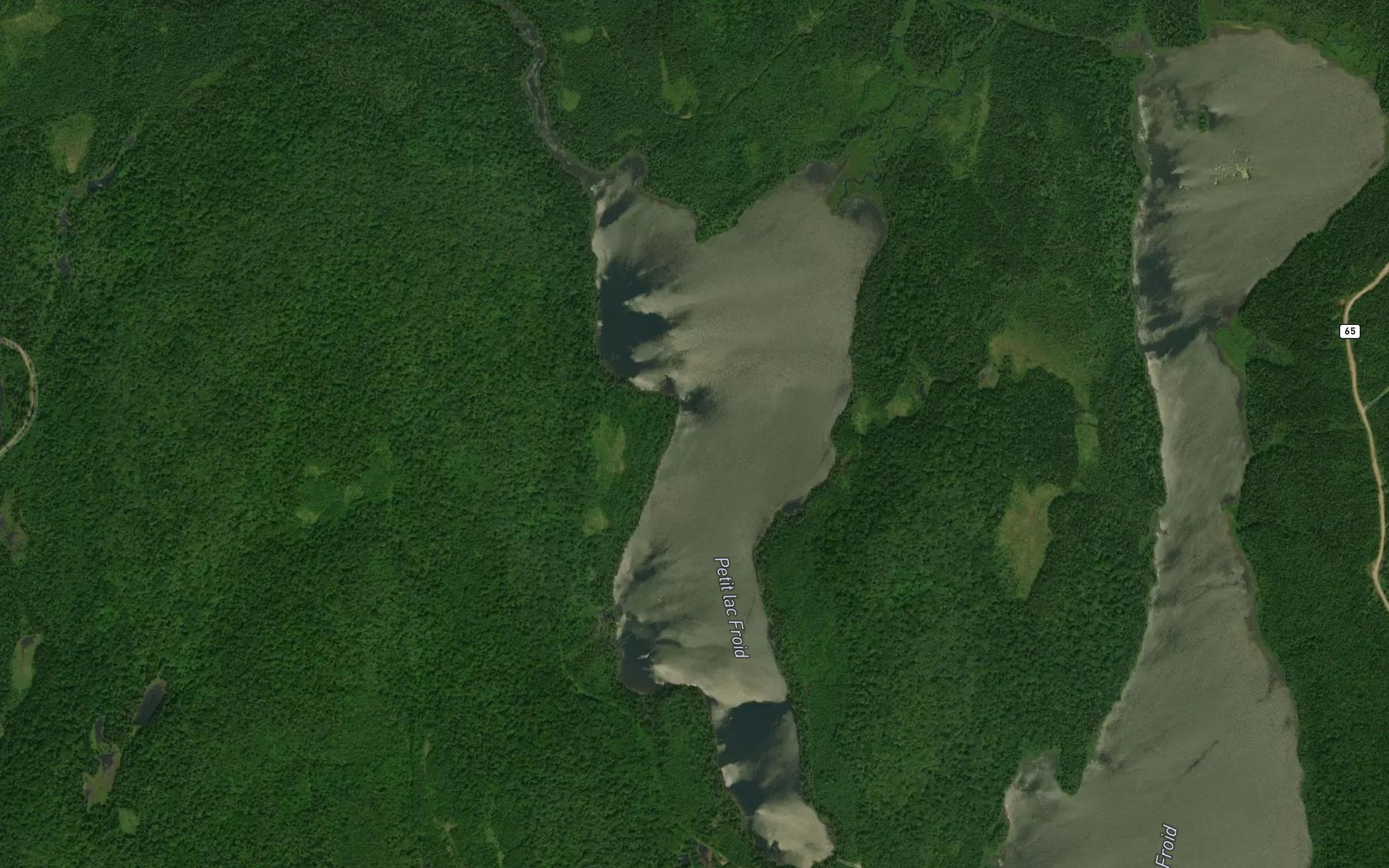 Satellite map of the Petit lac Froid