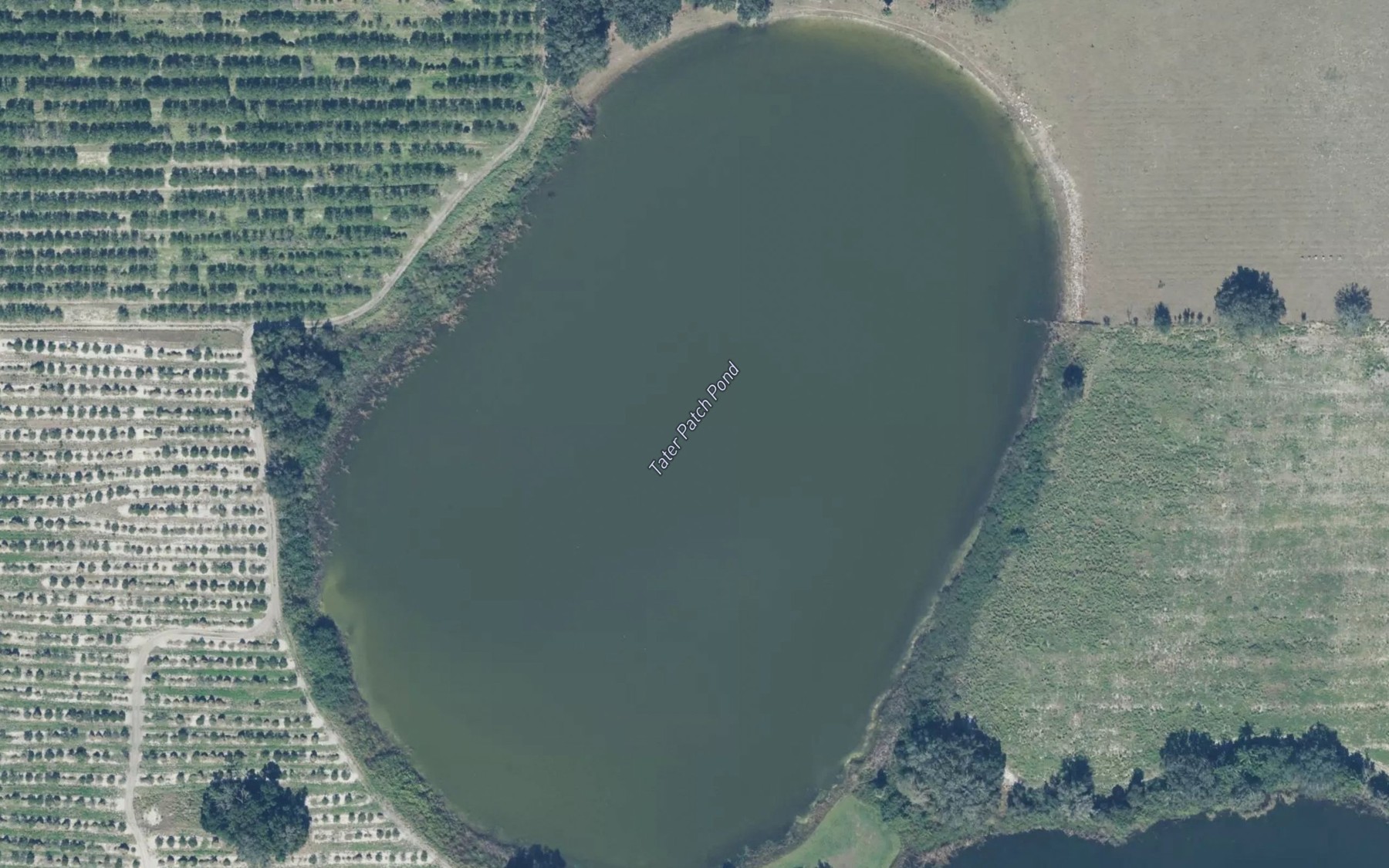 Satellite map of the Tater Patch Pond
