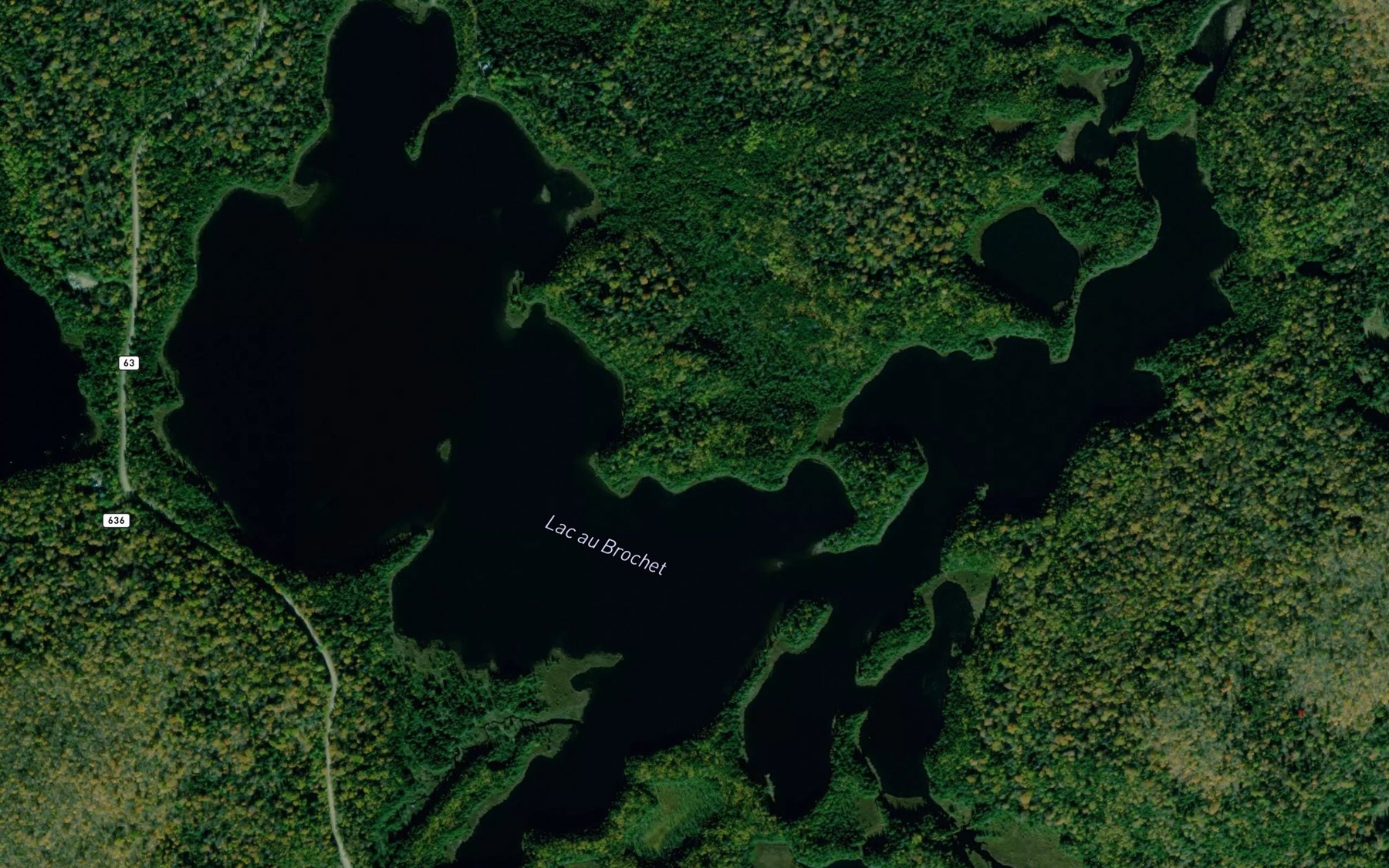 Satellite map of the Lac au Brochet