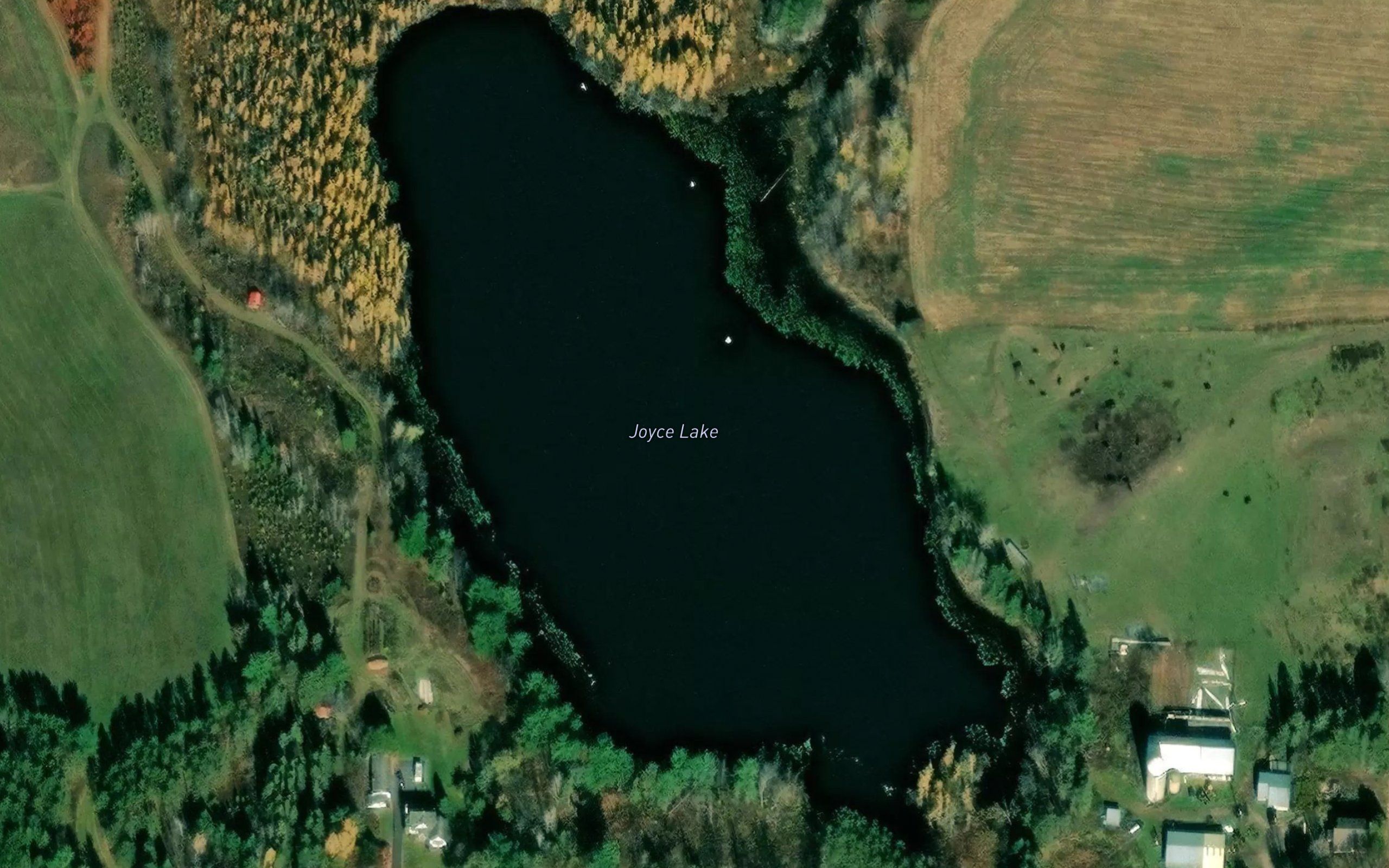 Joyce Lake