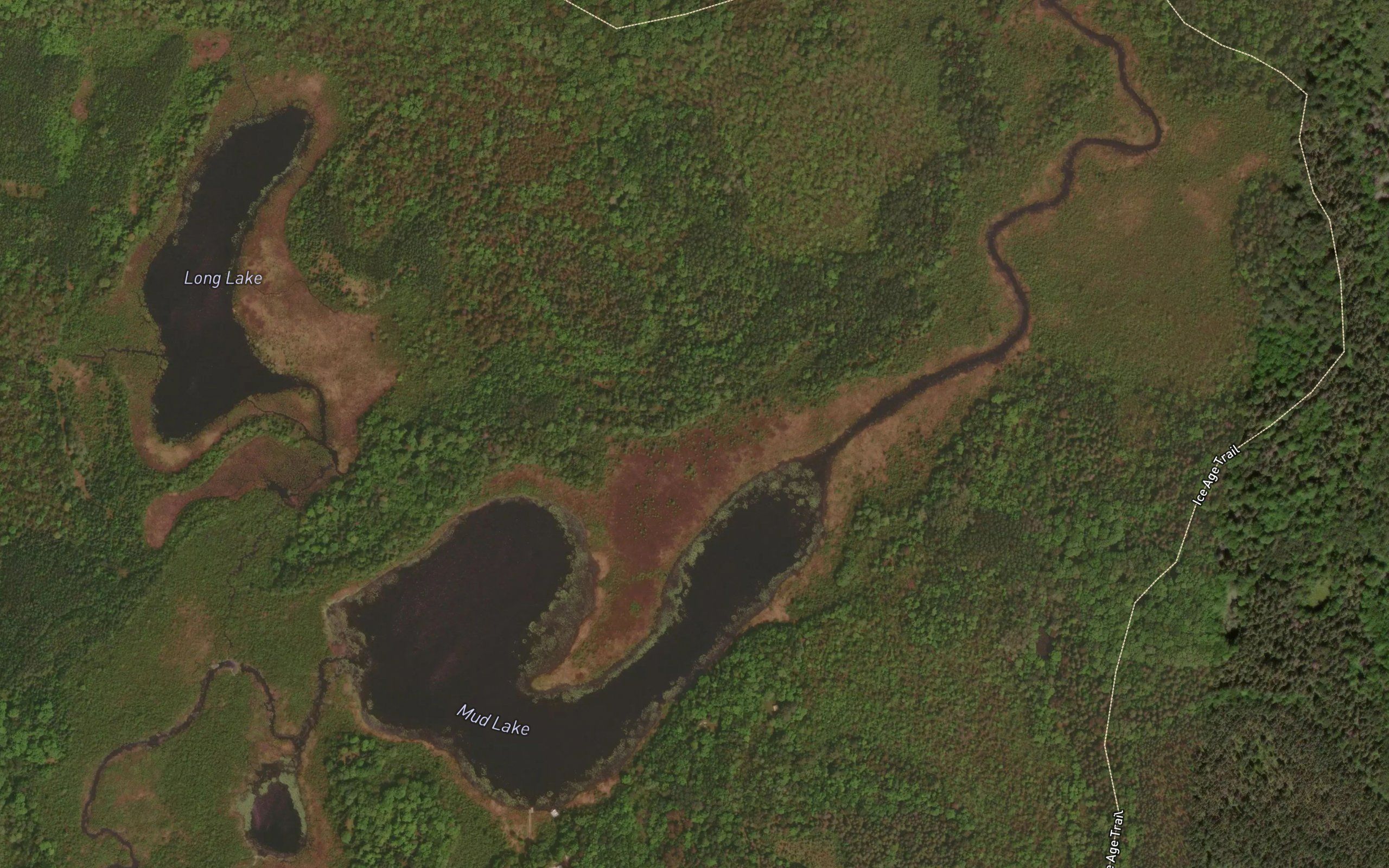 Mud Lake