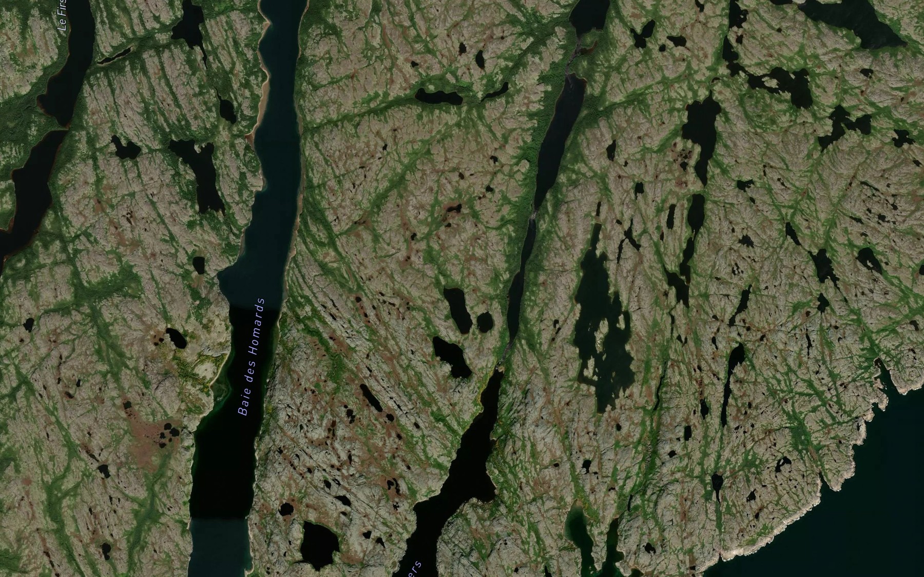 Satellite map of the Riviere du Vieux Fort