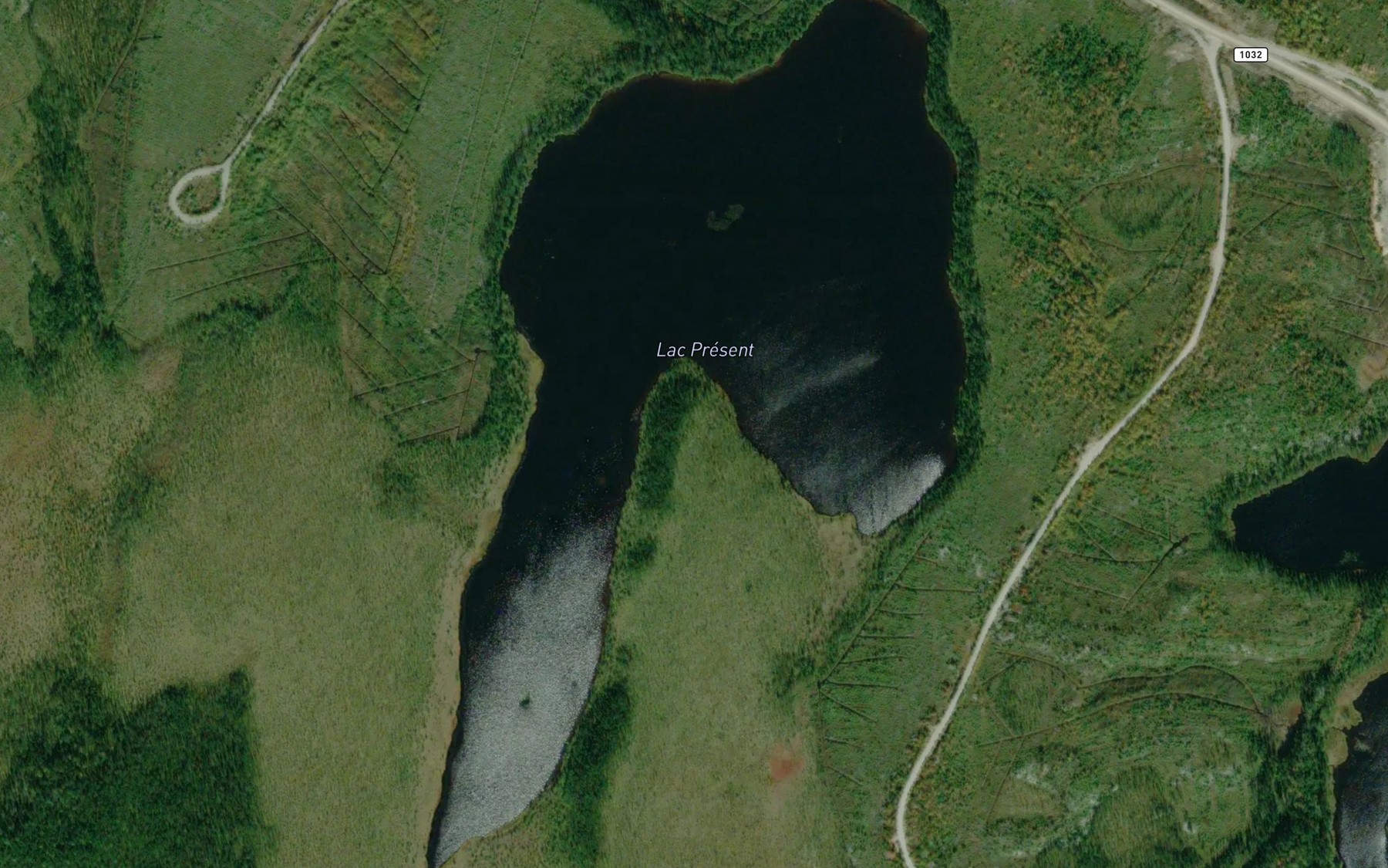 Satellite map of the Lac Present