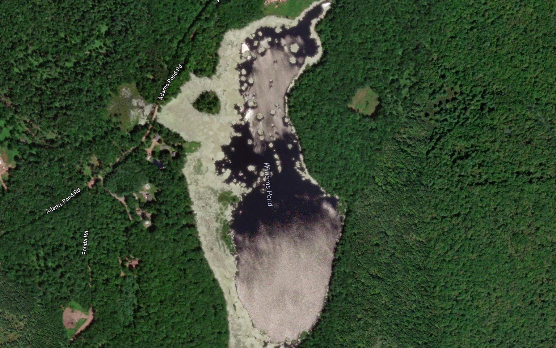 Satellite map of the Williams Pond