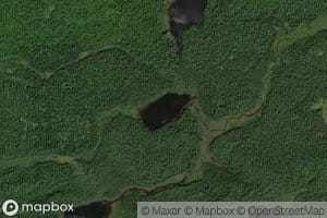 Wasp Lake