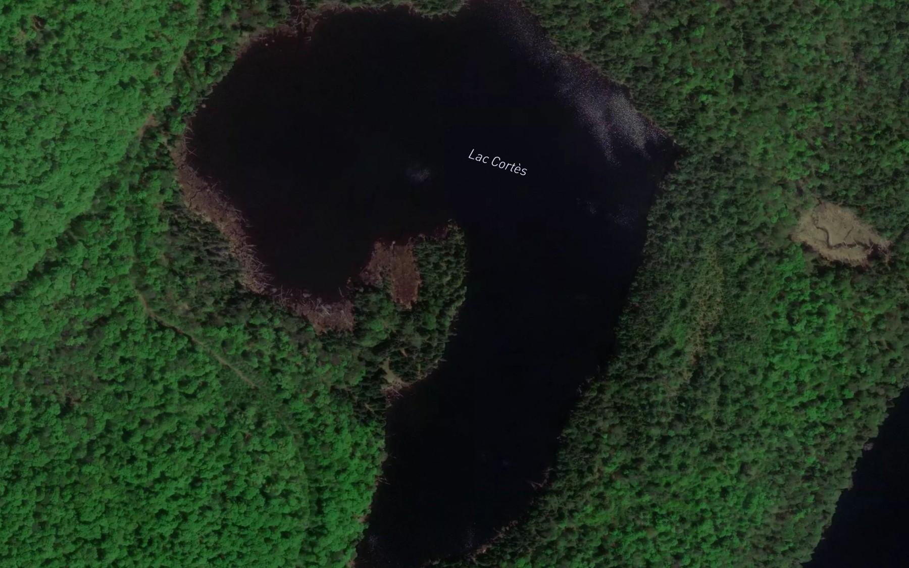 Satellite map of the Lac Cortes